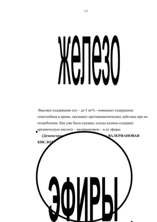 Высокое содержание его – до 5 мг% - повышает содержание
гемоглобина в крови, оказывает противоанемическое действие при их
потреблении. Как уже было сказано, плоды калины содержат
органическую кислоту – валериановую – и ее эфиры.
(Демонстрация дидактических кругов: ВАЛЕРИАНОВАЯ
КИСЛОТА, ЭФИРЫ)
117
 