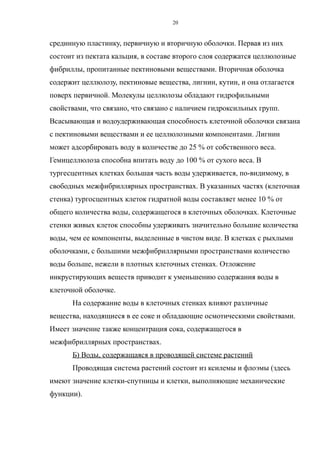 срединную пластинку, первичную и вторичную оболочки. Первая из них
состоит из пектата кальция, в составе второго слоя содержатся целлюлозные
фибриллы, пропитанные пектиновыми веществами. Вторичная оболочка
содержит целлюлозу, пектиновые вещества, лигнин, кутин, и она отлагается
поверх первичной. Молекулы целлюлозы обладают гидрофильными
свойствами, что связано, что связано с наличием гидроксильных групп.
Всасывающая и водоудерживающая способность клеточной оболочки связана
с пектиновыми веществами и ее целлюлозными компонентами. Лигнин
может адсорбировать воду в количестве до 25 % от собственного веса.
Гемицеллюлоза способна впитать воду до 100 % от сухого веса. В
тургесцентных клетках большая часть воды удерживается, по-видимому, в
свободных межфибриллярных пространствах. В указанных частях (клеточная
стенка) тургосцентных клеток гидратной воды составляет менее 10 % от
общего количества воды, содержащегося в клеточных оболочках. Клеточные
стенки живых клеток способны удерживать значительно большие количества
воды, чем ее компоненты, выделенные в чистом виде. В клетках с рыхлыми
оболочками, с большими межфибриллярными пространствами количество
воды больше, нежели в плотных клеточных стенках. Отложение
инкрустирующих веществ приводит к уменьшению содержания воды в
клеточной оболочке.
На содержание воды в клеточных стенках влияют различные
вещества, находящиеся в ее соке и обладающие осмотическими свойствами.
Имеет значение также концентрация сока, содержащегося в
межфибриллярных пространствах.
Б) Воды, содержащаяся в проводящей системе растений
Проводящая система растений состоит из ксилемы и флоэмы (здесь
имеют значение клетки-спутницы и клетки, выполняющие механические
функции).
20
 