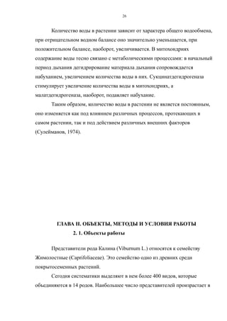Количество воды в растении зависит от характера общего водообмена,
при отрицательном водном балансе оно значительно уменьшается, при
положительном балансе, наоборот, увеличивается. В митохондриях
содержание воды тесно связано с метаболическими процессами: в начальный
период дыхания дегидрирование материала дыхания сопровождается
набуханием, увеличением количества воды в них. Сукцинатдегидрогеназа
стимулирует увеличение количества воды в митохондриях, а
малатдегидрогеназа, наоборот, подавляет набухание.
Таким образом, количество воды в растении не является постоянным,
оно изменяется как под влиянием различных процессов, протекающих в
самом растении, так и под действием различных внешних факторов
(Сулейманов, 1974).
ГЛАВА II. ОБЪЕКТЫ, МЕТОДЫ И УСЛОВИЯ РАБОТЫ
2. 1. Объекты работы
Представители рода Калина (Viburnum L.) относятся к семейству
Жимолостные (Caprifoliaceae). Это семейство одно из древних среди
покрытосеменных растений.
Сегодня систематики выделяют в нем более 400 видов, которые
объединяются в 14 родов. Наибольшее число представителей произрастает в
26
 