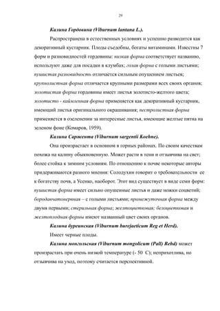 Калина Гордовина (Viburnum lantana L.).
Распространена в естественных условиях и успешно разводится как
декоративный кустарник. Плоды съедобны, богаты витаминами. Известны 7
форм и разновидностей гордовины: низкая форма соответствует названию,
используют даже для посадки в клумбах; голая форма с голыми листьями;
пушистая разновидность отличается сильным опушением листьев;
крупнолистная форма отличается крупными размерами всех своих органов;
золотистая форма гордовины имеет листья золотисто-желтого цвета;
золотисто - каймленная форма применяется как декоративный кустарник,
имеющий листья оригинального окрашивания; пестролистная форма
применяется в озеленении за интересные листья, имеющие желтые пятна на
зеленом фоне (Комаров, 1959).
Калина Саржента (Viburnum sargentii Koehne).
Она произрастает в основном в горных районах. По своим качествам
похожа на калину обыкновенную. Может расти в тени и отзывчива на свет;
более стойка к зимним условиям. По отношению к почве некоторые авторы
придерживаются разного мнения: Солодухин говорит о требовательности ее
к богатству почв, а Усенко, наоборот. Этот вид существует в виде семи форм:
пушистая форма имеет сильно опушенные листья и даже ножки соцветий;
бородавчатонервная – с голыми листьями; промежуточная форма между
двумя первыми; стерильная форма; желтоцветковая; белоцветковая и
желтоплодная формы имеют названный цвет своих органов.
Калина буреинская (Viburnum burejaeticum Reg et Herd).
Имеет черные плоды.
Калина монгольская (Viburnum mongolicum (Pall) Rehd) может
произрастать при очень низкой температуре (- 50 С); неприхотлива, но
отзывчива на уход, поэтому считается перспективной.
29
 
