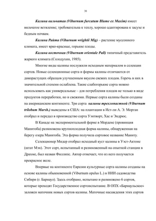 Калина вильчатая (Viburnum furcatum Blume ex Maxim) имеет
вильчатое ветвление; требовательна к теплу, хорошо адаптирована к засухе и
бедным почвам.
Калина Райта (Viburnum wrightii Mig) – растение муссонного
климата, имеет ярко-красные, горькие плоды.
Калина восточная (Viburnum orientale Pall) типичный представитель
жаркого климата (Солодухин, 1985).
Многие виды калины послужили исходным материалом в селекции
сортов. Новые селекционные сорта и формы калины отличаются от
дикорастущих образцов улучшенным вкусом свежих плодов. Горечь в них в
значительной степени ослаблена. Такие слабогорькие сорта можно
использовать как универсальные – для потребления плодов не только в виде
продуктов переработки, но и свежими. Первые сорта калины были созданы
на американском континенте. Три сорта калины трехлопастной (Viburnum
trilobum Marsh.) выведены в США: на плантации в Ист-ли А. Э. Морган
отобрал и передал в производство сорта Уэнтворт, Хас и Эндрюс.
В Канаде на экспериментальной ферме в Мордене (провинция
Манитоба) размножена крупноплодная форма калины, обнаруженная на
берегу озера Манитоба. Эта форма получила сортовое название Маниту.
Селекционер Мидер отобрал исходный куст калины в Уэст-Актоне
(штат Мэн). Этот сорт, испытанный и размноженный на опытной станции в
Драхме, был назван Филлипс. Автор отмечает, что из него получается
прекрасное желе.
Впервые на континенте Евразии культурные сорта калины созданы на
основе калины обыкновенной (Viburnum opulus L.) в НИИ садоводства
Сибири (г. Барнаул). Здесь отобрано, испытано и размножено 6 сортов,
которые проходят Государственное сортоиспытание. В ОПХ «Барнаульское»
заложен маточник новых сортов калины. Маточные насаждения этих сортов
30
 
