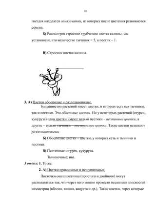 гнездах находятся семязачатки, из которых после цветения развиваются
семена.
Б) Рассмотрев строение трубчатого цветка калины, мы
установили, что количество тычинок = 5, а пестик – 1.
В) Строение цветка калины.
3. А) Цветки обоеполые и раздельнополые.
Большинство растений имеет цветки, в которых есть как тычинки,
так и пестики. Это обоеполые цветки. Но у некоторых растений (огурец,
кукуруза) одни цветки имеют только пестики – пестичные цветки, а
другие – только тычинки – тычиночные цветки. Такие цветки называют
раздельнополыми.
Б) Обоеполые цветки – цветки, у которых есть и тычинки и
пестики.
В) Пестичные: огурец, кукуруза.
Тычиночные: ива.
3 отдел: 1. То же.
2. А) Цветки правильные и неправильные.
Листочки околоцветника (простого и двойного) могут
располагаться так, что через него можно провести несколько плоскостей
симметрии (яблоня, вишня, капуста и др.). Такие цветки, через которые
88
 