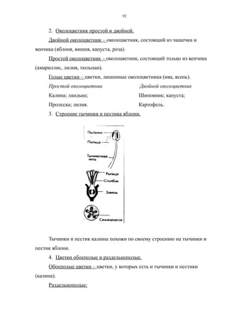 2. Околоцветник простой и двойной.
Двойной околоцветник – околоцветник, состоящий из чашечки и
венчика (яблоня, вишня, капуста, роза).
Простой околоцветник – околоцветник, состоящий только из венчика
(амариллис, лилия, тюльпан).
Голые цветки – цветки, лишенные околоцветника (ива, ясень).
Простой околоцветник Двойной околоцветник
Калина; ландыш; Шиповник; капуста;
Пролеска; лилия. Картофель.
3. Строение тычинки и пестика яблони.
Тычинки и пестик калины похожи по своему строению на тычинки и
пестик яблони.
4. Цветки обоеполые и раздельнополые.
Обоеполые цветки – цветки, у которых есть и тычинки и пестики
(калина).
Раздельнополые:
92
 