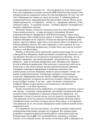 И это продолжается миллионы лет… Как же природа из этого выпуталась?
Она стала наращивать на концы молекулы ДНК некий бессмысленный текст,
который делается совершенно иначе, без участия фермента. От того, что этот
текст обтрепывается, никому ни тепло ни холодно. У эмбриона работает
специальный белок, наращивающий бессмысленные участки. Потом, когда
эмбрион рождается, этот фермент – почему-то – прекращает работать. И мы
начинаем стареть. А в раковых клетках – наоборот, фермент активируется и
начинает наращивать кончики.
Возникает вопрос, почему же эволюция допустила такое безобразие?
Самая ценная молекула – и такая неточность считывания. Недавно
американский биолог Джефф Боулз (Jeff Bowles) выдвинул такую идею:
разрыв кольца и был изобретением смерти от старости. Так природа изобрела
старение (бактерии же не стареют). Отсюда мы выходим на проблему рака
совсем с другой стороны: может быть, если удастся убить этот фермент, мы
победим раковую опухоль. Вот опять вернулись к теме старения, но если
даже гипотеза Вейсмана неправильна, то может быть, рак удастся излечить
исходя из этой философии.
Вообще, в биологии сейчас происходят удивительные вещи. Не так давно,
у бактерий был обнаружен самый настоящий электромотор. Оказалось, что
они вращают жгутики за счет разности потенциалов на оболочке. Это не
образное выражение, там самый настоящий электродвигатель, причем с
реверсом, - даже не поменяв направление поля, бактерии могут вращать
жгутик в обратном направлении. Они включают и выключают свой мотор
когда хотят, у них очень сложная система принятия решений. Бактерии
суммируют некоторую информацию и принимают решения. Они
удивительные существа. Например, вязкость среды измеряют точнее, чем
самый лучший вискозиметр. Температуру измеряют с потрясающей
точностью. Информация попадает внутрь, обрабатывается, и выдается
некоторое решение: оставаться на месте или уплывать. Обычно говорят, что
колесо изобрел человек. А вот они – какое там колесо, электромотор
изобрели! Можно создать разность потенциалов на этой оболочке
искусственно – и он будет крутиться.
Теперь человеческая клетка, фибробласт, из подкожной клетчатки. А вот в
ней, внутри, - клеточная электропроводка, настоящий электрический кабель,
который ученые обнаружили с помощью специального красителя, - он
окрашивает только те участки клетки, где есть разность потенциалов. По
этим проводам течет ток, разность потенциалов поперек оболочки кабеля
(мембраны) может достигать четверти вольта. Пока неясно, в чем функция
этих проводов, но то, что ученые обнаружили новые свойства живой клетки –
совершенно ясно.
И в завершении хотелось бы сказать, что сейчас возникает новая химия,
оперирующая веществами, которых нет в природе. Вот пример одной
недавней и совершенно фантастической работы: нахождение вещества,
блокирующего белок р53. Этот ключевой белок, называется «стражем
генома», есть в каждой клетке. Он ползает по молекуле ДНК и проверяет, не
 
