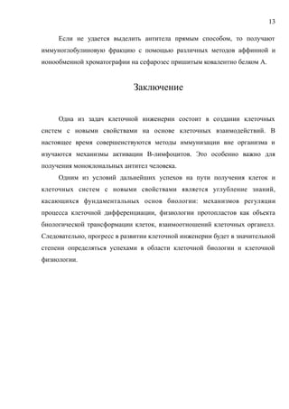 Если не удается выделить антитела прямым способом, то получают
иммуноглобулиновую фракцию с помощью различных методов аффинной и
ионообменной хроматографии на сефарозес пришитым ковалентно белком А.
Заключение
Одна из задач клеточной инженерии состоит в создании клеточных
систем с новыми свойствами на основе клеточных взаимодействий. В
настоящее время совершенствуются методы иммунизации вне организма и
изучаются механизмы активации В-лимфоцитов. Это особенно важно для
получения моноклональных антител человека.
Одним из условий дальнейших успехов на пути получения клеток и
клеточных систем с новыми свойствами является углубление знаний,
касающихся фундаментальных основ биологии: механизмов регуляции
процесса клеточной дифференциации, физиологии протопластов как объекта
биологической трансформации клеток, взаимоотношений клеточных органелл.
Следовательно, прогресс в развитии клеточной инженерии будет в значительной
степени определяться успехами в области клеточной биологии и клеточной
физиологии.
13
 