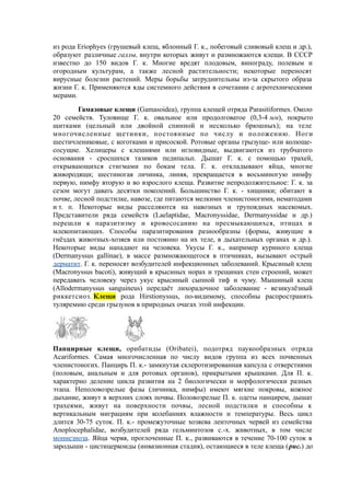 из рода Eriophyes (грушевый клещ, яблонный Г. к., побеговый сливовый клещ и др.),
образуют различные галлы, внутри которых живут и размножаются клещи. В СССР
известно до 150 видов Г. к. Многие вредят плодовым, винограду, полевым и
огородным культурам, а также лесной растительности; некоторые переносят
вирусные болезни растений. Меры борьбы затруднительны из-за скрытого образа
жизни Г. к. Применяются яды системного действия в сочетании с агротехническими
мерами.
Гамазовые клещи (Gamasoidea), группа клещей отряда Parasitiformes. Около
20 семейств. Туловище Г. к. овальное или продолговатое (0,3-4 мм), покрыто
щитками (цельный или двойной спинной и несколько брюшных); на теле
многочисленные щетинки, постоянные по числу и положению. Ноги
шестичлениковые, с коготками и присоской. Ротовые органы грызуще- или колюще-
сосущие. Хелицеры с клешнями или игловидные, выдвигаются из трубчатого
основания - сросшихся тазиков педипальп. Дышат Г. к. с помощью трахей,
открывающихся стигмами по бокам тела. Г. к. откладывают яйца, многие
живородящи; шестиногая личинка, линяя, превращается в восьминогую нимфу
первую, нимфу вторую и во взрослого клеща. Развитие непродолжительное: Г. к. за
сезон могут давать десятки поколений. Большинство Г. к. - хищники; обитают в
почве, лесной подстилке, навозе, где питаются мелкими членистоногими, нематодами
и т. п. Некоторые виды расселяются на навозных и трупоядных насекомых.
Представители ряда семейств (Laelaptidae, Macronyssidae, Dermanyssidae и др.)
перешли к паразитизму и кровососанию на пресмыкающихся, птицах и
млекопитающих. Способы паразитирования разнообразны (формы, живущие в
гнёздах животных-хозяев или постоянно на их теле, в дыхательных органах и др.).
Некоторые виды нападают на человека. Укусы Г. к., например куриного клеща
(Dermanyssus gallinae), в массе размножающегося в птичниках, вызывают острый
дерматит. Г. к. переносят возбудителей инфекционных заболеваний. Крысиный клещ
(Macronyssus bacoti), живущий в крысиных норах и трещинах стен строений, может
передавать человеку через укус крысиный сыпной тиф и чуму. Мышиный клещ
(Allodermanyssus sanguineus) передаёт лихорадочное заболевание - везикулёзный
риккетсиоз. Клещи рода Hirstionyssus, по-видимому, способны распространять
туляремию среди грызунов в природных очагах этой инфекции.
Панцирные клещи, орибатиды (Oribatei), подотряд паукообразных отряда
Acariformes. Самая многочисленная по числу видов группа из всех почвенных
членистоногих. Панцирь П. к.- замкнутая склеротизированная капсула с отверстиями
(половым, анальным и для ротовых органов), прикрытыми крышками. Для П. к.
характерно деление цикла развития на 2 биологически и морфологически разных
этапа. Неполовозрелые фазы (личинка, нимфы) имеют мягкие покровы, кожное
дыхание, живут в верхних слоях почвы. Половозрелые П. к. одеты панцирем, дышат
трахеями, живут на поверхности почвы, лесной подстилки и способны к
вертикальным миграциям при колебаниях влажности и температуры. Весь цикл
длится 30-75 суток. П. к.- промежуточные хозяева ленточных червей из семейства
Anoplocephalidae, возбудителей ряда гельминтозов с.-х. животных, в том числе
мониезиоза. Яйца червя, проглоченные П. к., развиваются в течение 70-100 суток в
зародыши - цистицеркоиды (инвазионная стадия), остающиеся в теле клеща (рис.) до
 