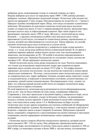 жаберные щели, охватывающие голову от спинной стороны до горла.
Каждая жаберная дуга несет по переднему краю 1000—1300 длинных роговых
жаберных тычинок, образующих цедильный аппарат. Челюстные зубы мелкие (их
высота не превышает 5 мм), острые. Они расположены на челюстях в 4—7 рядов и
образуют подобие своеобразной терки. Пищу этого вида составляют планктонные
животные. Питающаяся на скоплении планктона гигантская акула медленно
плывет со скоростью около 3,5 км/ч с широко раскрытой пастью, пропуская через
ротовую полость воду и отфильтровывая планктон. При такой скорости она
процеживает ежечасно около 1500 м3
воды. Желудок у гигантской акулы очень
большой — у крупных питающихся особей в нем находили около тонны
красноватой густой пасты, состоящей из планктонных рачков, перемешанных со
слизью, которой они обволакиваются в полости рта. Таким образом, по способу
питания гигантская акула мало отличается от усатых китов.
Гигантские акулы обычно встречаются у поверхности моря только весной и
летом, т. е. тогда, когда вода наиболее богата планктонной пищей. В это время в
наиболее кормных районах можно видеть целые стаи этих малоподвижных
животных, насчитывающие до 20—30 особей и медленно передвигающиеся в
поверхностном слое. Огромное большинство их составляют самки, количество
которых в 30—40 раз превышает количество самцов.
Зимой гигантские акулы очень редко попадаются на глаза. Расчеты показывают,
что только для возмещения энергетических затрат при плавании во время
кормежки акула должна получать не менее 157,5 кДж /ч. Эта цифра намного
превышает доступное поступление, так как количество планктона в зимнее время
значительно понижается . Поэтому с наступлением зимы гигантская акула уходит
из поверхностных вод, теряет жаберные тычинки, которые вновь отрастают только
к следующей весне, и переходит в малоактивное состояние, соответствующее, по-
видимому, зимней спячке млекопитающих. Подтверждением этому служит тот
факт, что добытые ранней весной особи почти не содержат печеночного жира,
используемого в период голодания.
По всей вероятности, гигантская акула размножается путем яйцеживорождения,
хотя до сих еще не была поймана ни одна самка, содержащая эмбрионы.
Спаривание у этих акул происходит в весенний период у поверхности моря, после
чего носящие самки, возможно, уходят на большие глубины, где вынашивают
молодь в течение долгого времени. Самая маленькая из когда-либо измеренных
акул этого вида имела длину около 1,5 м. Выброшенные на берег остатки
гигантских акул не раз давали основания для газетных сообщений об обнаружении
необычайных морских чудовищ. По-видимому, с этим видом связаны и рассказы о
встречах с морским змеем в водах Северной Атлантики. Наблюдение огромной
акулы, плывущей у поверхности с выступающими над водой спинным и хвостовым
плавниками, вполне оправдывает возникновение самых невероятных
историй.
Гигантские акулы служили объектом специального промысла, который достиг
своего расцвета 100—150 лет назад. Они добывались преимущественно ради
получения жира, вытапливаемого из печени. Одна акула давала в среднем от 300 до
800 л жира, а в некоторых случаях и более 2000 л, так как печень, составляющая
 
