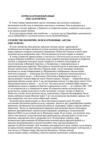 ОТРЯД КАТРАНООБРАЗНЫЕ
(SQUALIFORMES)
К этому отряду принадлежат акулы, имеющие два спинных плавника с
колючками или без них и лишенные анального плавника. Они встречаются в
холодных и теплых районах, у берегов и в открытом океане, в верхних слоях воды
и на значительной глубине.
В состав отряда входят три семейства — колючие акулы (Squalidae), пряморотые
акулы (Dalatiidae) и звездчатошипые акулы (Eehmorhinidae).
СЕМЕЙСТВО КОЛЮЧИЕ, ИЛИ КАТРАНОВЫЕ, АКУЛЫ
(SQUALIDAE)
В этом семействе объединены довольно мелкие акулы, характерной
особенностью которых являются острые колючие шипы, расположенные
перед первым и вторым спинными плавниками. Известно 9 родов и около двух
десятков видов катрановых акул. Они встречаются во всех морях и океанах.
К этому семейству принадлежит, в частности, обыкновенная колючая акула, или
катран (Squalus acanthias), имеющая очень широкое распространение в умеренно
теплых и умеренно холодных водах северного и южного полушарий, но
отсутствующая в Высокой Арктике, в Антарктике, в экваториальных и
приэкваториальных районах. Численность колючей акулы в некоторых районах
весьма значительна. Она обычна в Черном море, где ее называют катраном,
встречается также в Баренцевом (у Мурманского побережья) и Белом морях
(местное название — нокотница или ноготница) и довольно многочисленна в
дальневосточных водах—в Японском, Охотском и Беринговом морях и в
прилегающей к нашим берегам части Тихого океана . Катран — некрупная акула,
имеющая обычно длину около 1 ми достигающая иногда 2 м при массе около 14 кг.
Продолжительность жизни — до 25 лет. Эта акула ведет стайный образ жизни в
прибрежных водах и держится обычно в придонных слоях — до глубины 180—200
м, но встречается и у поверхности моря. В открытом океане колючая акула не
встречается, однако отдельные особи, возможно, отходят далеко от берегов.
Известен случай, когда колючая акула, помеченная у берегов Калифорнии, была
вновь поймана в водах Японии через 7 лет после выпуска (возможно, правда, что
она совершила этот путь вдоль береговой линии).
Колючая акула принадлежит к числу бентоядно-хищных рыб. Ее пищу
составляют различные рыбы (сельдь, сардины, треска и др.), ракообразные (крабы,
креветки), головоногие моллюски (осьминоги, кальмары), черви и другие донные
животные . Вслед за перемещением кормовых рыб колючая акула в некоторых
районах предпринимает значительные миграции, например у атлантических
берегов США и в восточной части Японского моря. В тех водах, где колючих акул
много они наносят существенный вред рыболовству, объедая рыбу в сетях и на
крючках, перегрызая снасти, разрывая сети. В некоторых странах даже
выдвигались предложения об объявлении колючей акулы вредной рыбой и о
выплате вознаграждения за вылов (подобно тому, как выплачиваются
премии за убитых волков). Для человека, находящегося в воде, катран, естественно,
не представляет никакой угрозы, и купание в районах,изобилующих этой акулой, в
том числе и в Черном море, абсолютно безопасно. Однако взятый
в руки катран может, изгибаясь, нанести своими колючками глубокие раны,
 