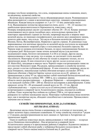 которые тем более неприятны, что слизь, покрывающая шипы плавников, имеет,
по-видимому, ядовитые свойства.
Колючая акула принадлежит к числу яйцеживородящих видов. Развивающиеся
яйца размещаются у самки в желатинозных капсулах, лежащих в расширенных
яйцеводах. Каждая капсула содержит от 3 до 13—15 яиц диаметром около
4 см. Вынашивание потомства продолжается очень долго — 18—22 месяца (это
наибольшая продолжительность беременности, известная у акул).
Размеры новорожденных акулят составляют обычно 20—26 см. Катран занимает
немаловажное место среди съедобных акул, используемых промыслом. В
некоторых европейских странах (в Англии, например) вкусное и жирное мясо
колючей акулы, не имеющее специфического для многих акул аммиачного запаха,
ценится даже выше, чем сельдь. Эта акула в большом количестве добывается в
Японии, Китае, Великобритании, Норвегии и других странах. В довоенные годы
маринованные или копченые продукты из колючей акулы поступали на немецкий
рынок под названием «морской угорь» и пользовались большим спросом. На
Черном море из катрана изготовляют балыки, по вкусу напоминающие балыки из
осетровых рыб. Используют также печень колючей акулы (для вытопки
медицинского жира, богатого витаминами А и D) и ее шкуру. Другие акулы,
принадлежащие к тому же роду, что и катран, не достигают столь высокой
численности. Некоторые из них обычны не только в умеренно теплых, но и в
тропических водах. К ним относится в числе других малая колючая акула
(S. blainvillei), заходящая в южную часть Черного моря и встречающаяся также на
юго-востоке Японского моря. Ряд родов, принадлежащих к семейству колючих
акул, входит в состав глубоководной фауны . К ним относятся, например, акулы из
рода Etmopterus, максимальная глубина обитания которых составляет 2074 м.
Довольно обычная у берегов Европы черная колючая акула (Е. spinax), не
превышающая в длину 47 см, представляет собой типичный батипелагический вид.
Она обитает обычно на глубине 300—1000 м, но у северных границ
области своего распространения — в фьордах Норвегии — неоднократно ловилась
и на меньшей глубине (100—200 м). Питается кальмарами и ракообразными. Самка
приносит летом 10—20 детенышей длиной всего по 10—12 см. Другой
глубоководный вид — португальская акула (Centroscymnus coelolepis),
встречающаяся в северной части Атлантического океана, опускается особенно
глубоко. Один экземпляр был пойман на глубине 2700 м, что представляет
рекордное по глубине нахождение акулы. Некоторые глубоководные виды колючих
акул, как и малоротые акулы, обладают способностью к свечению. Промыслового
значения они не имеют.
СЕМЕЙСТВО ПРЯМОРОТЫЕ, ИЛИ ДАЛАТИЕВЫЕ,
АКУЛЫ (DALATIIDAE)
Далатиевые акулы очень близки к катрановым, но, в отличие от последних, не
имеют колючек перед спинными плавниками. К этому семейству относятся 7 родов
с 12 видами, распространенными во всех океанах от Арктики и Антарктики до
тропических морей.
Один из наиболее известных видов, принадлежащих к этой группе,— полярная
акула (Somniosus microcephalus) . Она встречается в северной части
Атлантического океана и в прилегающих районах Северного Ледовитого океана и
представляет собой обычную рыбу у побережья Кольского полуострова. В
северной части Тихого океана имеется близкий вид S. pacificus.
 