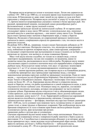 Полярная акула встречается только в холодных водах. Летом она держится на
глубине 150—500 м (до 1000 м), а в холодное время года поднимается в верхние
слои воды. В Гренландии ее даже ловят зимой на уду прямо со льда или бьют
гарпунами у поверхности. Полярная акула достигает в длину 6,5 м при массе около
1 т, причем имеются непроверенные указания о поимке и более крупных рыб. Это
жадный, прожорливый хищник, поедающий самых разнообразных рыб и
беспозвоночных, а также трупы тюленей и китов.
Размножение происходит весной на значительной глубине. В это время самка
откладывает прямо в воду около 500 мягких эллипсоидальных яиц, лишенных
роговой капсулы и довольно крупных— они имеют длину около 8 см. Полярная
акула имеет промысловое значение в Баренцевом море, а также у берегов
Норвегии, Исландии и Гренландии, но современный промысел значительно
снизился (в связи с сокращением спроса) по сравнению с тем, что имело место в
прошлом столетии .
На рубеже XIX и XX вв., например, только в водах Гренландии добывали до 30
тыс. этих акул ежегодно. Интересно отметить, что, несмотря на свои размеры и
силу, пойманная на крючок полярная акула, даже самая крупная, совершенно
не оказывает сопротивления при вытаскивании из воды и поднять ее на борт судна
нисколько не труднее, чем вытянуть из воды плавающее бревно.
Мясо этой акулы вполне съедобно, но только не в свежем виде, а после
некоторого выдерживания, так как оно содержит, по-видимому, какие-то
ядовитые вещества, распадающиеся после гибели рыбы. Полярную акулу можно
заготавливать впрок в соленом и копченом виде или перерабатывать в кормовую
рыбную муку. Используется также печень этих акул: от крупных экземпляров
получают от 1 до 3,5 кг сильно витаминизированного технического жира.
Наряду с такими крупными рыбами, как полярная акула и ее ближайшие родичи,
к семейству пряморотых акул принадлежат карликовые виды, у которых
максимальные размеры взрослых особей не превышают полуметра. Один из таких
видов — карликовая акулка (Euprotornicrus bispinatus). Она встречается в теплых
водах Тихого и Индийского океанов. «Крупные» экземпляры этого вида имеют
длину не более 20—25 см. Карликовая акулка обитает в открытом океане,
вдали от берегов; ночью эти рыбы поднимаются к самой поверхности воды, а днем
опускаются в более глубокие слои. Основную пищу их, вероятно, составляют
головоногие моллюски, кальмары, которых они разрывают на части своими
острыми зубами. Карликовая акулка относится к числу яйцеживородящих видов.
Самка приносит, судя по имеющимся наблюдениям, около десятка небольших
акулят, имеющих длину всего 5,5—6 см. Характерной особенностью карликовой
акулки является способность к произвольному свечению. Специальные
люминесцентные органы — фотофоры, имеющие вид круглых бляшек диаметром
0,03—0,08 мм, густо усеивают всю нижнюю часть туловища (книзу от средней
линии тела), а также грудных и брюшных плавников. При возбуждении акулы вся
брюшная поверхность ее тела и нижние края боков светятся ровным бледно-
зеленоватым светом, ярко вспыхивая при резких
движениях рыбы и затухая при ее успокоении.
Свечение карликовой акулки иноиа может быть очень интенсивным. Известен с
случай, когда плавающую ночью у поверхности рыбу заметили с борта судна на
расстоянии 15 м. Способностью к люминесценции обладают и не которые другие
виды пряморотых акул, также ведущие полуглубоководный образ жизни. Особой
яркости свечение достигает у Isibtius biasilien-sis — небольшой акулы,
достигающей в длину 45—50 см и распространенной в тропических водах
 