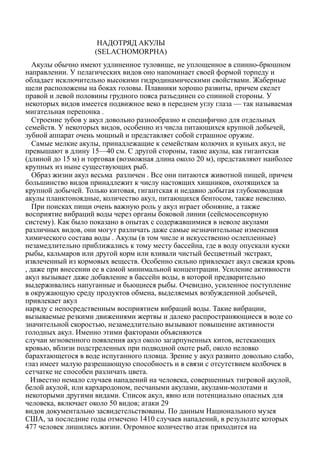 НАДОТРЯД АКУЛЫ
(SELACHOMORPHA)
Акулы обычно имеют удлиненное туловище, не уплощенное в спинно-брюшном
направлении. У пелагических видов оно напоминает своей формой торпеду и
обладает исключительно высокими гидродинамическими свойствами. Жаберные
щели расположены на боках головы. Плавники хорошо развиты, причем скелет
правой и левой половины грудного пояса разъединен со спинной стороны. У
некоторых видов имеется подвижное веко в переднем углу глаза — так называемая
мигательная перепонка .
Строение зубов у акул довольно разнообразно и специфично для отдельных
семейств. У некоторых видов, особенно из числа питающихся крупной добычей,
зубной аппарат очень мощный и представляет собой страшное оружие.
Самые мелкие акулы, принадлежащие к семействам колючих и куньих акул, не
превышают в длину 15—40 см. С другой стороны, такие акулы, как гигантская
(длиной до 15 м) и торговая (возможная длина около 20 м), представляют наиболее
крупных из ныне существующих рыб.
Образ жизни акул весьма различен . Все они питаются животной пищей, причем
большинство видов принадлежит к числу настоящих хищников, охотящихся за
крупной добычей. Только китовая, гигантская и недавно добытая глубоководная
акулы планктоноядные, количество акул, питающихся бентосом, также невелико.
При поисках пищи очень важную роль у акул играет обоняние, а также
восприятие вибраций воды через органы боковой линии (сейсмосенсорную
систему). Как было показано в опытах с содержавшимися в неволе акулами
различных видов, они могут различать даже самые незначительные изменения
химического состава воды . Акулы (в том числе и искусственно ослепленные)
незамедлительно приближались к тому месту бассейна, где в воду опускали куски
рыбы, кальмаров или другой корм или вливали чистый бесцветный экстракт,
извлеченный из кормовых веществ. Особенно сильно привлекает акул свежая кровь
, даже при внесении ее в самой минимальной концентрации. Усиление активности
акул вызывает даже добавление в бассейн воды, в которой предварительно
выдерживались напуганные и бьющиеся рыбы. Очевидно, усиленное поступление
в окружающую среду продуктов обмена, выделяемых возбужденной добычей,
привлекает акул
наряду с непосредственным восприятием вибраций воды. Такие вибрации,
вызываемые резкими движениями жертвы и далеко распространяющиеся в воде со
значительной скоростью, незамедлительно вызывают повышение активности
голодных акул. Именно этими факторами объясняются
случаи мгновенного появления акул около загарпуненных китов, истекающих
кровью, вблизи подстреленных при подводной охоте рыб, около неловко
барахтающегося в воде испуганного пловца. Зрение у акул развито довольно слабо,
глаз имеет малую разрешающую способность и в связи с отсутствием колбочек в
сетчатке не способен различать цвета.
Известно немало случаев нападений на человека, совершенных тигровой акулой,
белой акулой, или кархародоном, песчаными акулами, акулами-молотами и
некоторыми другими видами. Список акул, явно или потенциально опасных для
человека, включает около 50 видов; атаки 29
видов документально засвидетельствованы. По данным Национального музея
США, за последние годы отмечено 1410 случаев нападений, в результате которых
477 человек лишились жизни. Огромное количество атак приходится на
 