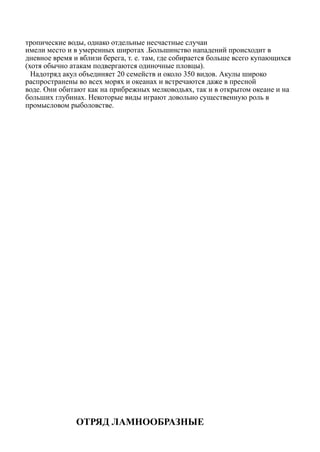 тропические воды, однако отдельные несчастные случаи
имели место и в умеренных широтах .Большинство нападений происходит в
дневное время и вблизи берега, т. е. там, где собирается больше всего купающихся
(хотя обычно атакам подвергаются одиночные пловцы).
Надотряд акул объединяет 20 семейств и около 350 видов. Акулы широко
распространены во всех морях и океанах и встречаются даже в пресной
воде. Они обитают как на прибрежных мелководьях, так и в открытом океане и на
больших глубинах. Некоторые виды играют довольно существенную роль в
промысловом рыболовстве.
ОТРЯД ЛАМНООБРАЗНЫЕ
 