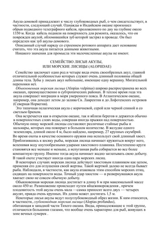 Акула-домовой принадлежит к числу глубоководных рыб, о чем свидетельствует, в
частности, следующий случай. Однажды в Индийском океане произошел
обрыв подводного телеграфного кабеля, проложенного по дну на глубине около
1350 м. Когда кабель подняли на поверхность для ремонта, оказалось, что он
поврежден акулой, обломившийся зуб которой застрял в проводе. Он был
определен как зуб акулы-домового.
Описанный случай наряду со строением ротового аппарата дает основание
считать, что эта акула питается донными животными.
Никакого значения для промысла эти малочисленные акулы не имеют.
СЕМЕЙСТВО ЛИСЬИ АКУЛЫ,
ИЛИ МОРСКИЕ ЛИСИЦЫ (ALOPIIDAE)
Семейство заключает один род и четыре вида очень своеобразных акул, главной
отличительной особенностью которых служит очень длинный половины общей
длины тела. Зубы у лисьих акул небольшие, имеющие одну вершину. Мигательной
перепонки нет.
Обыкновенная морская лисица (Alopias vulpinus) широко распространена во всех
океанах, преимущественно в субтропических районах. В теплое время года эта
акула совершает миграции в моря умеренного пояса. В Атлантическом океане,
например, она доходит летом до залива Св. Лаврентия и до Лофотенских островов
(Северная Норвегия).
Это типичная пелагическая акула с коричневой, серой или черной спиной и со
светлым брюхом.
Она встречается как в открытом океане, так и вблизи берегов и держится обычно
в поверхностных слоях воды, совершая иногда прыжки над поверхностью.
Обычную пищу морской лисицы составляют различные стайные рыбы и
кальмары, которых она пожирает в большом количестве. В желудке одного
экземпляра, длиной около 4 м, было найдено, например, 27 крупных скумбрий.
Во время охоты в качестве основного оружия она использует свой длинный хвост.
Приблизившись к косяку рыбы, морская лисица начинает кружиться вокруг него,
вспенивая воду кнутообразными ударами хвостового плавника. Постепенно круги
становятся все меньше и меньше, а испуганная рыба собирается во все более
компактную группу. Именно тогда акула начинает жадно заглатывать свою добычу.
В такой охоте участвует иногда одна пара морских лисиц.
В некоторых случаях морская лисица действует хвостовым плавником как цепом,
применяя его для оглушения своей жертвы. Такой жертвой далеко не всегда бывает
рыба. Наблюдали, в частности, как акула атаковала этим способом морских птиц,
сидящих на поверхности воды. Точный удар хвостом — и развернувшаяся акула
хватает свою не совсем обычную добычу.
Обыкновенная морская лисица достигает в длину 6 м при максимальной массе
около 450 кг. Размножение происходит путем яйцеживорождения , причем
плодовитость этой акулы очень мала —самка приносит всего двух — четырех
акулят, правда очень крупных. Их длина может достигать 1,5 м.
Некоторые лисьи акулы ведут полуглубоководный образ жизни. К ним относится,
в частности, глубоководная морская лисица (Alopias profundus),
обитающая в западной части Тихого океана. Виды, принадлежащие к этой группе,
отличаются большими глазами, что вообще очень характерно для рыб, живущих в
зоне вечных сумерек .
 