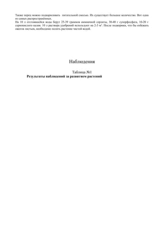 Также перец можно подкармливать питательной смесью. Их существует большое количество. Вот одна
из самых распространённых.
На 10 л отстоявшейся воды берут 25-39 граммов аммиачной серлиты, 30-40 г суперфосфата, 10-20 г
сернокислого калия. 10 л раствора удобрений используют на 2-3 м2
. После подкормки, что бы избежать
ожогов листьев, необходимо полить растение чистой водой.
Наблюдения
Таблица №1
Результаты наблюдений за развитием растений
 