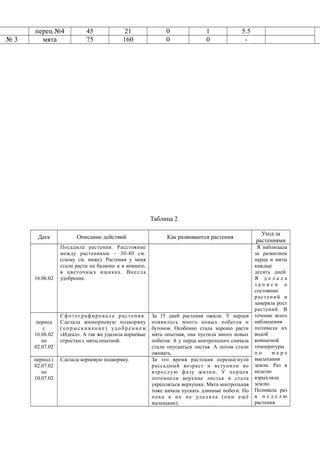 перец №4 45 21 0 1 5.5
№ 3 мята 75 160 0 0 -
Таблица 2
Дата Описание действий Как развиваются растения
Уход за
растениями
16.06.02
Посадила растения. Расстояние
между растениями – 30-40 см.
(схему см. ниже). Растения у меня
стали расти на балконе и в комнате,
в цветочных ящиках. Внесла
удобрение.
Я наблюдала
за развитием
перца и мяты
каждые
десять дней.
Я д е л а л а
з а п и с и о
состоянии
растений и
замеряла рост
растений. В
течение всего
наблюдения
поливала их
водой
комнатной
температуры
п о м е р е
высыхания
земли. Раз в
неделю
взрыхляла
землю.
Поливала раз
в н е д е л ю
растения
период
с
16.06.02
по
02.07.02
Сфотографировала растения.
Сделала внекорневую подкормку
(оп рыск и ван и е) уд об рен и ем
«Идеал». А так же удалила корневые
отростки с мяты опытной.
За 15 дней растения ожили. У перцев
появилось много новых побегов и
бутонов. Особенно стала хорошо расти
мята опытная, она пустила много новых
побегов. А у перца контрольного сначала
стали опускаться листья. А потом стали
оживать.
период с
02.07.02
по
10.07.02
Сделала корневую подкормку. За это время растения перешагнули
рассадный возраст и вступили во
взрослую фазу жизни. У перцев
потемнели верхние листья и стала
укрепляться верхушка. Мята контрольная
тоже начала пускать длинные побеги. Но
пока я их не удаляла (они ещё
маленькие).
 