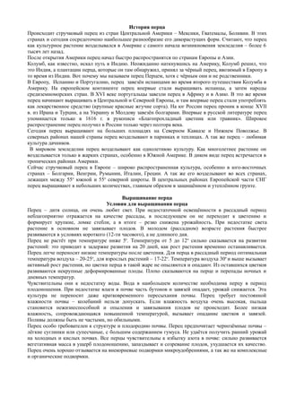 История перца
Происходит стручковый перец из стран Центральной Америки – Мексики, Гватемалы, Боливии. В этих
странах и сегодня сосредоточено наибольшее разнообразие его дикорастущих форм. Считают, что перец
как культурное растение возделывался в Америке с самого начала возникновения земледелия – более 6
тысяч лет назад.
После открытия Америки перец начал быстро распространятся по странам Европы и Азии.
Колумб, как известно, искал путь в Индию. Неожиданно наткнувшись на Америку, Колумб решил, что
это Индия, а плантации перца, которые он там обнаружил, принял за чёрный перец, ввозимый в Европу в
то время из Индии. Вот почему мы называем перец Перцем, хотя с чёрным они и не родственники.
В Европу, Испанию и Португалию, перец завезён испанцами во время второго путешествия Колумба в
Америку. На европейском континенте перец впервые стали выращивать испанцы, а затем народы
средиземноморских стран. В XVI веке португальцы завезли перец в Африку и в Азию. В это же время
перец начинают выращивать в Центральной и Северной Европы, и там впервые перец стали употреблять
как лекарственное средство (крупные красные жгучие сорта). На юг России перец проник в конце XVII
в. из Ирана и Турции, а на Украину и Молдову завезён болгарами. Впервые в русской литературе перец
упоминается только в 1616 г. в рукописи «Благопрохладный цветник или травник». Широкое
распространение перец получил в России только через полтора века.
Сегодня перец выращивают на больших площадях на Северном Кавказе и Нижнем Поволжье. В
северных районах нашей страны перец возделывают в парниках и теплицах. А так же перец – любимая
культура дачников.
В мировом земледелии перец возделывают как однолетнюю культуру. Как многолетнее растение он
возделывается только в жарких странах, особенно в Южной Америке. В диком виде перец встречается в
тропических районах Америки.
Сейчас стручковый перец в Европе – широко распространенная культура, особенно в юго-восточных
странах – Болгарии, Венгрии, Румынии, Италии, Греции. А так же его возделывают во всех странах,
лежащих между 55о
южной и 55о
северной широты. В центральных районах Европейской части СНГ
перец выращивают в небольших количествах, главным образом в защищённом и утеплённом грунте.
Выращивание перца
Условия для выращивания перца
Перец – дитя солнца, он очень любит свет. При недостаточной освещённости в рассадный период
неблагоприятно отражается на качестве рассады, в последующем он не переходит к цветению и
формирует хрупкие, ломке стебли, а в итоге – резко снижена урожайность. При недостатке света
растение в основном не завязывает плодов. В молодом (рассадном) возрасте растения быстрее
развиваются в условиях короткого (12-ти часового), а не длинного дня.
Перец не растёт при температуре ниже 5о
. Температура от 5 до 12о
сильно сказывается на развитии
растений: это приводит к задержке развития на 20 дней, как рост растения временно останавливается.
Перец легче переносит низкие температуры после цветения. Для перца в рассадный период оптимальная
температура воздуха – 20-25о
, для взрослых растений – 17-22о
. Температура воздуха 30о
и выше вызывает
активный рост растения, но цветки перца в такой жаре не опыляются и опадают. Из оставшихся цветков
развиваются некрупные деформированные плоды. Плохо сказываются на перце и перепады ночных и
дневных температур.
Чувствительны они к недостатку воды. Вода в наибольшем количестве необходима перцу в период
плодоношения. При недостатке влаги в почве часть бутонов и завязей опадает, урожай снижается. Эта
культура не переносит даже кратковременного пересыхания почвы. Перец требует постоянной
влажности почвы – колебаний нельзя допускать. Если влажность воздуха очень высокая, пыльца
становится нежизнеспособной и опыления и завязывания плодов не происходит. Более низкая
влажность, сопровождающаяся повышенной температурой, вызывает опадание цветков и завязей.
Поливы должны быть не частыми, но обильными.
Перец особо требователен к структуре и плодородию почвы. Перец предпочитает чернозёмные почвы –
лёгкие суглинки или супесчаные, с большим содержанием гумуса. Не удаётся получить ранний урожай
на холодных и кислых почвах. Все перцы чувствительны к избытку азота в почве: сильно развивается
вегетативная масса в ущерб плодоношению, запаздывает и созревание плодов, ухудшается их качество.
Перец очень хорошо отзывается на внекорневые подкормки микроудобрениями, а так же на комплексные
и органические подкормки.
 