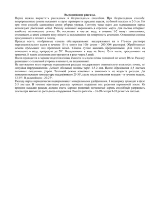 Выращивание рассады.
Перец можно вырастить рассадным и безрассадным способом. При безрассадном способе
непророщенные семена высевают в грунт примерно в середине апреля, глубиной посадки в 2-3 см. Но
при этом способе сдвигаются сроки уборки урожая. Поэтому чаще всего для выращивания перца
используют рассадный метод. Рассаду начинают выращивать в середине марта. Для посева отбирают
наиболее полновесные семена. Их высыпают в чистую воду, в течение 1-2 минут помешивают,
отстаивают, а затем сливают воду вместе со всплывшими на поверхность семенами. Оставшиеся семена
просушивают и готовят к посеву.
Прежде всего, отобранные семена обеззараживают: выдерживают их в 1%-ном растворе
марганцовокислого калия в течение 15-ти минут (на 100г семян – 200-300г раствора). Обработанные
семена промывают под проточной водой. Семена лучше высевать пророщенными. Для этого их
помещают в воду, прогретую до 20о
. Выдерживают в воде не более 12-ти часов, просушивают на
тряпочке. В таком состоянии они трогаются в рост через 5 дней.
Посев проводится в заранее подготовленные ёмкости со слоем почвы толщиной не менее 10 см. Рассаду
размещают с солнечной стороны в комнате, на подоконнике.
На протяжении всего периода выращивания рассады поддерживают оптимальную влажность почвы, не
допуская переувлажнения. Делают обильные поливы через 1.5-2 дня. После образования 4-5 листьев
поливают ежедневно, утром. Тепловой режим изменяют в зависимости от возраста рассады. До
появления всходов температуру поддерживают 25-30о
, сразу после появления всходов – в течение недели,
12-15о
. В дальнейшем - 20-27о
.
Рассаду перца периодически подкармливают минеральными удобрениями. 1 подкормку проводят в фазе
2-3 листьев. В течение вегетации рассады проводят подсыпки под растения парниковой земли. Ко
времени высадки рассада должна иметь хорошо развитый мочковатый корень способный удерживать
землю при выемке из рассадного сооружения. Высота рассады – 16-20 см при 8-10 развитых листьях.
 
