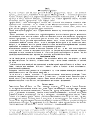Mята.
Общая характеристика.
Род мята включает в себя 50 видов растений. Наиболее распространены из них – мята перечная,
курчавая, длинно-листная, мята Ройля. Мята перечная (Mentha piperita L.) – многолетнее травянистое
растение семейства губоцветных, с прямостоячими четырёхгранными стеблями высотой до 100 см. Мяту
перечную в народе называют холодком, холодянкой. Она обладает приятным запахом, оказывает
освежающее действие. Произрастает в садах, огородах и полях.
Эфирное масло – самый ценный продукт, дающий мята. В листьях мяты перечной содержится 2.75%
эфирного масла, в соцветиях – 6%, а в стеблях до 0.3%. Основные компоненты эфирного масла – это
ментол (60-70%) и ментон (16-18%). Кроме того, в состав масла входят лимонен, цинеол, пинен, менто-
фуран, тимол, карвакроп, кариофилен и другие компоненты.
Листья мяты помимо эфирного масла содержат каротин (витамин А), микроэлементы, медь, марганец,
стронций.
Ментол применяют как бактерицидное, сосудорасширяющее и болеутоляющее средство. Компоненты
мяты перечной входят в состав валидола, корвалола. Настой из листьев мяты применяют внутрь против
тошноты, при бронхите, как желчегонное средство. Зелёные листья прикладывают к ожогам и нарывам.
Из наземных частей растения приготавливают мятное масло, мятные настойки. Мятное масло,
составляющее мятных таблеток, капель, мазей от насморка. Используется и для исправления вкуса
лекарств, а так же входит в состав зубных пасти полосканий. Мятное масло применяется в медицине,
парфюмерии, мыловаренном, кондитерском и ликёроводочном производстве.
Мята обладает приятным запахом, и любители добавляют её в чай. Так же с ней делают фруктовые
салаты, напитки и пудинги. Мята широко используется как приправа к различным овощам, например к
помидорам, огурцам, картофелю бобовым. В США мятой ароматизируют булочки и печенье. Для неё
характерно соединение вкусовых достоинств и лечебного воздействия на организм.
Особенности мяты.
Листья расположены на коротких черенках. Они удлинённые, яйцевидные, заострённые. По краям
листья острозубчатые. Листья сверху – тёмно-зелёные, снизу – светло-зелёные, длиной 3-6 см, шириной
– 1.5-2 см.
Стебель простой или ветвистый. Он однолетний, четырёхгранный, красно-бурого или зелёного цвета.
Бывает гладким или наоборот. Верхушки главного стебля и боковых ветвей заканчиваются
колосовидными соцветиями.
Корневище горизонтальное, ветвистое с отходящими от его узлов тонкими мочковатыми корнями. От
корней отходят проростки, образующие новые побеги.
Цветки мелкие, в основном стерильные, в безлистных прерванных колосовидных соцветиях. Венчик
лилово-розового или красно-фиолетового цвета. Плод состоит из 4 орешков (семян) тёмно-бурого цвета,
длиной около 0.75 мм, заключённых в чашечку. Как и многие гибриды, это растение почти не образует
жизненно способных семян. Поэтому оно размножается вегетативно – корневищем.
История мяты.
Окультурена была в I X веке н.э. Мята перечная, появилась в XVII веке в Англии, благодаря
искусственному скрещиванию дикорастущих видов. Родина Мяты Перечной – Англия, откуда её завезли
на европейский континент, в страны Азии и Америки. Мяту ценили ещё в древнем Риме. Перечная мята
служит естественным межвидовым гибридом водяной мяты Mentha aquatica и колосовой мяты Mentha
Spicata L. В качестве промышленной культуры её выращивают в сорока странах, в том числе и в России.
Посадки мяты сосредоточены на Украине, в Молдавии, Краснодарском крае. Мята известна в культуре и
в одичавшем состоянии. Особенно много её произрастает в таком состоянии в Центральной и Южной
Европе. Мята очень популярна во Вьетнаме, где её используют свежей. В Европе используется не очень
широко, главным образом в Англии, а так же её любят Каринтии – народ, живущий в южно-австрийском
регионе, граничащем с Италией. Мяту широко употребляют в пищу североафриканцы.
Происхождение названия «мята»
Источник латинского menta и греческого mнnthee неизвестен. Название piperita относится к перечному и
жгучему вкусу.В Новом завете мяту упоминали, как heedэosmon – конструкция переводится как что-то
сладко пахнущее. Конечно, точно не известно, было ли библейское растение в точности мятой или нет.
 