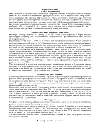 Выращивание мяты.
Условия выращивания
Мята отзывчива на органические и минеральные удобрения. Качество мяты лучше, если она растёт на
грядке 3-4 года, а затем её выращивают на другом участке. Чтобы мята не разрасталась по всему участку,
можно выращивать её в железных обручах, снятых с бочек. Размножается вегетативно. Для получения
высокого урожая семенники корневищ размещают на участках с наиболее плодородными и богатыми
гумусом почвами, высоким уровнем грунтовых вод, хорошо удобрённых минеральными удобрениями.
Для зимнего хранения корневище заготавливают в конце октября – начале Ноября и укладывают в гряды
глубиной 15-20 см, шириной 1.5 м, с последующим укрытием слоем почвы толщиной 8-10 см. С
наступлением морозов гряды укладывают соломой или другим материалом.
Выращивание мяты на крупных плантациях.
Основную вспашку проводят на глубину 25-30 см. Весной после боронуют, а перед посадкой
культивируют на глубину 10-12 см одновременно с борознованием. При необходимости перед посадкой
почву прикатывают.
Под вспашку вносят навоз – 30-45 т/га и полную дозу минеральных удобрений. Можно добавить 3
столовые ложки древесной золы (на 1 м2
). Корневище (можно сажать черенки или отводки мяты) сажают
ранней весной в нарезанные борозды. На юге посадку корневищ делают перед зимой. Их укладывают
сплошной лентой и закрывают слоем почвы толщиной 6-8 см. Ширина между рядами 70 см.
Эффекитвно размножение мяты рассадным способом. Рассаду высотой 8-10 см с шестью-восьмью
парами листьев высаживают в первой половине мая. Норма высадки растений 110-120 тыс./га Весной
заготавливают молодые побеги и укореняют их. Посадку проводят ручным способом или посадочной
машиной. Посадку производят так, чтобы растения находились лруг от друга на расстоянии 50*50 см.
После посадки их поливают 2-3 раза в неделю для быстрого проростания и приживания. Что бы усилить
разрастание боковых побегов, необходимо у главного стебля прищипнуть ветхушку когда растение
достигнет высоты 20-25 см.
Уход за плантацией в первый год жизни начинают с прикатывания катками и боронования лёгкими
баронами. В течение вегетационного периода делают три-четыре культивации междурядий и две-три
прополки в рядах. Что бы мята не разрасталась, можно. Что бы мята не разрасталась, можно посадить её
в стенки бочек, тогда она будет расти только на этой территории.
Выращивание мяты на грядке.
Учитывая прекрасные лечебные свойства мяты перечной, огородникам рекомендуется её выращивать на
участках. Она хорошо растёт на достаточно влажных и плодородных почвах, на освещённых или
полузатенённых местах. На одном месте растёт 10 лет и более. Качество мяты лучше, если она растёт на
грядке 3-4 года, а затем её выращивают на другом участке. Чтобы мята не разрасталась, рекомендуется
выращивать её в железных обручах.
Под посадку грядку готовят весной. Рекомендуется добавлять на 1м3
земли 3-4 кг перегноя, 2-3 столовые
ложки древесной золы перекапывают на глубину 20-25 см, а затем высаживают корневища, черенки или
отводки мяты, взятые со старых посадок. Посадку производят на расстоянии от друг друга 50*50 см.
Уход за мятой заключается в поливе, рыхлении и прополке. Подкормку делают 1раз, весной. Чтобы
усиливать произрастание боковых побегов, необходимо прищипывать верхушки побегов. Убирают мяту
в начале цветения 2-3 раза за лето.
Уборка урожая.
Собирают во время цветения стебли с листьями или только листья мяты, так как именно в этот период у
растения накапливается наибольшая органическая масса.
Для использования сырья в качестве пряности мяту убирают до начала бутонизации и до конца цветения.
Урожайность зелёной массы составляет 15-16 т/га. Скошенную массу предварительно просушивают. Для
получения эфирного масла мяту первого года вегетации убирают в фазе 50-% цветения. Урожайность
мяты составляет 1-1.5 т/га. Содержание эфирного масла 1.5-2 %.
Листья отделяют от стеблей и хранят в сухом помещении. Листья и вся трава мяты хранится в плотно
закупоренных коробках.
Болезни растений и их лечение.
 