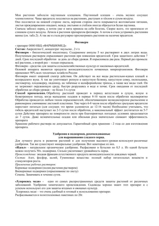Мои растения заболели паутинным клещиком. Паутинный клещик – очень мелкое сосущее
членистоногое. Чаще вредитель поселяется на растениях, растущих в тёплом и сухом воздухе.
Оно поселяется на нижней стороне листа, верхняя сторона листа покрывается желтоватыми пятнами,
листья преждевременно опадают, между листьями и стеблем иногда образуется белая паутинка.
Сначала заболел перец, а потом уже и мята приняла на себя болезнь. Скорее всего, это произошло от
слишком сухого воздуха. Лечила я растения препаратом фитоверм. А потом я стала устраивать растениям
ванны (см. табл.2). А так же я стала регулярно просматривать растения на наличие вредителя.
Фитоверм
- препарат ООО НБЦ «ФАРМБИОМЕД»
Состав: Аверсектин С, концентрат эмульсии , 2 г/л
Фитоверм - биологический инсектицид. Содержимое ампулы 5 мл растворяют в двух литрах воды.
Полученным раствором опрыскивают растения при появлении вредителей. Срок защитного действия 7
дней. Срок последней обработки за день до сбора урожая. Я опрыскивала два раза. Первый раз промыла
всё растение, а второй раз – только опрыскала.
Фитоверм - средство для защиты сельскохозяйственных культур от насекомых-вредителей.
Основой аппарата являются продукты жизнедеятельности почвенных микроорганизмов. Фитоверм
применяют 90% всех тепличных хозяйств России
Фитоверм имеет широкий спектр действия. Он действует на все виды растительно-ядных клещей и
колорадского жука. А так же уничтожает репную и капустную белянку, капустную совку, пилильщика,
листовертку, плодожорку, пяденицу, на табачные и калифорнийские трипсы, а также все виды тлей. Он
не загрязняет окружающую среду, быстро разрушаясь в воде и почве. Срок ожидания от последней
обработки до сбора урожая – не более 3-х суток
Способ применения. Обработку растений проводят в период вегестации в сухую, ясную и
безветренную погоду, когда выпадение осадков в первые 8-10 часов после обработки маловероятно
Обработка проводится любым типом опрыскивателей, обеспечивающим мелкодисперсное распыление и
равномерное смачивание листовой пластинки. Уже через 6-8 часов после обработки грызущие вредители
перестают питаться (для сосущих это время удлиняется до 12-16 часов) Необходимо учитывать, что
гибель вредителей наступает на 2-3 сутки после обработки, а максимальный эффект достигается на 5-7
сутки Действие препарата на поверхности листа при благоприятных погодных условиях продолжается
до 7 суток. Даже незначительные осадки или обильная роса значительно снижают эффективность
препарата
Хранение рабочего раствора не допускается. Гарантийный срок хранения - 2 года со дня изготовления
препарата.
Удобрения и подкормки, рекомендованные
для выращивания сладкого перца.
Для лучшего роста и развития растений и для получения высокого урожая используют различные
удобрения. Так же существуют минеральные удобрения. Вот некоторые из них.
«Идеал» - натуральное органическое удобрение. Расфасовано в бутылки по 0,5 л. Из одной бутыли
можно получить 50л. подкормки. Сильно увеличивает урожайность перца.
Происхождение: жидкая фракция естественного продукта жизнедеятельности дождевых червей.
Состав: Азот, фосфор, калий, Гуминовые вещества: полный набор питательных вещевств и
стимуляторов роста.
Применение рабочих растворов:
Корневые подкормки (полив растения раствором)
Внекорневые подкормки (опрыскивание по листу)
Семена. Замачивать в течение суток.
«Хлорокись меди» - одно из самых распространенных средств защиты растений от различных
заболеваний. Удобрение химического происхождения. Садоводы хорошо знают этот препарат и с
успехом используют его для защиты ягодных и овощных культур.
Хлорокись меди – это очень удобный и готовый к использованию препарат.
Расфасовывается в полиэтиленовых пакетиках по 20г.
 