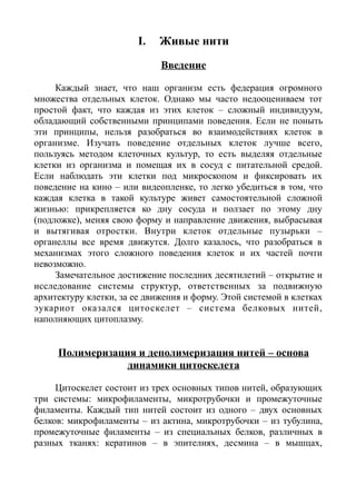 I. Живые нити
Введение
Каждый знает, что наш организм есть федерация огромного
множества отдельных клеток. Однако мы часто недооцениваем тот
простой факт, что каждая из этих клеток – сложный индивидуум,
обладающий собственными принципами поведения. Если не поныть
эти принципы, нельзя разобраться во взаимодействиях клеток в
организме. Изучать поведение отдельных клеток лучше всего,
пользуясь методом клеточных культур, то есть выделяя отдельные
клетки из организма и помещая их в сосуд с питательной средой.
Если наблюдать эти клетки под микроскопом и фиксировать их
поведение на кино – или видеопленке, то легко убедиться в том, что
каждая клетка в такой культуре живет самостоятельной сложной
жизнью: прикрепляется ко дну сосуда и ползает по этому дну
(подложке), меняя свою форму и направление движения, выбрасывая
и вытягивая отростки. Внутри клеток отдельные пузырьки –
органеллы все время движутся. Долго казалось, что разобраться в
механизмах этого сложного поведения клеток и их частей почти
невозможно.
Замечательное достижение последних десятилетий – открытие и
исследование системы структур, ответственных за подвижную
архитектуру клетки, за ее движения и форму. Этой системой в клетках
эукариот оказался цитоскелет – система белковых нитей,
наполняющих цитоплазму.
Полимеризация и деполимеризация нитей – основа
динамики цитоскелета
Цитоскелет состоит из трех основных типов нитей, образующих
три системы: микрофиламенты, микротрубочки и промежуточные
филаменты. Каждый тип нитей состоит из одного – двух основных
белков: микрофиламенты – из актина, микротрубочки – из тубулина,
промежуточные филаменты – из специальных белков, различных в
разных тканях: кератинов – в эпителиях, десмина – в мышцах,
 