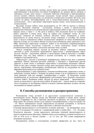 По данным одних авторов, зеленые листья чины под снегом отмирают, а растение
перезимовывает в безлистном состоянии (Серебряков); но данным других авторов, в
некоторых случаях чина зимует с зелеными побегами (Лапшина) и перезимовавшие
листья осенних побегов полностью подсыхают только весной. Здесь сказываются
условия произрастания растения, его жизненное и возрастное состояние. Поэтому чину
относят по ритму листообразования или к летне-зимнезеленым растениям, или к
летнезеленым или к растениям переходной группы между летне-зимнезелеными и
летнезелеиымн.
Весенние зеленые побеги чины вытягиваются до 70—100 см высоты и обильно
ветвятся. Пазушные соцветия постепенно, начиная с июня, в акропетальпом
направлении появляются на моноподиальио нарастающем побеге и при этом в пазухе не
каждого листа, а через 1—2, На лугах в пойме р. Оки последние кисти на «главном»
побеге зацветают в конце июля, когда на первых уже созревают плоды. За счет
пазушных соцветий на боковых побегах цветение чины, начавшееся и июне,
продолжается до конца августа, последние плоды созревают в сентябре. Па окских
лугах в августе появляются побеги позднелетней генерации из почек возобновления,
скрытых в почве, по эти побеги обычно остаются вегетативными, реже зацветают в сен-
тябре. Длительное нарастание «главного» побега и его ветвление, сопровождающееся
заложением новых пазушных соцветий, а также появление новых по бегов
возобновления обусловливает длительное цветение чины луговой.
Начало отмирания нижних листьев на весенних побегах совпадает с началом
цветения и далее постепенно продолжается параллельно с развертыванием новых
листьев. Полное подсыхание майских и августовских побегов наступает в октябре.
Возможен уход под зиму побегов в зеленом состоянии, но в течение зимы они
отмирают в надземной части.
Параллельно с ростом и ветвлением трофофильных побегов идет рост и развитие
корневищ. Начало цветения растения совпадает с быстрым и энергичным ростом
скрытых в почве почек и активным отрастанием и ветвлением подземных побегов.
Одни из них уже в течение текущего сезона дают надземные побеги летние и осенние,
другие, перезимовав, обеспечивают возобновление побегов на следующий год. Рост
корневищ продолжается до глубокой осени.
Перезимовывают у чины корневища с почками возобновления, скрытыми в почве, и
небольшие осенние побеги с почками на уровне почвы и на ее поверхности, поэтому
чина проявляет себя как хамефит, гемикриптофит и геофит. В зимующих почках
возобновления не полностью сформирована вегетативная часть будущего надземного
зеленого побега. Заложение новых листьев на конусе нарастания продолжается с
весны до июля вместе с ростом всего побега. В конце мая — начале июня на «главной»
оси и отходящих от нее боковых побегах в пазухах зачатков кроющих зеленых листьев
закладываются первые соцветия.
8. Способы размножения и распространения.
Размножение чины луговой и ее расселение осуществляется семенами и
вегетативным путем. Первые плоды под Москвой созревают в конце июля—начале
августа. Созревание их, как и цветение, растянуто во времени, что сильно затрудняет
сбор семян. На поемных окских лугах процент плодообразовання у чины составляет 20
—41. Число завязавшихся плодов определяется погодными условиями, в частности
отрицательно влияют дожди в период цветения, и обилием опылителей.
Семенная продуктивность в естественных условиях невелика — на материковых лугах
от 5 до 57 (в среднем 15) семян на 1 генеративный побег; в пойме Оки — 5,9—26 семян.
Отмечается довольно четкая зависимость величины семенной продуктивности от
эколого-антропогенных факторов. Урожай семян в естественных условиях колеблется от
2,04 до 45,8 кг/га; в чистых посевах — до 1,5 ц/га. До 70% семян повреждается
личинками насекомых.
Осыпавшиеся семена в естественных условиях прорастают не все, часть их
11
 