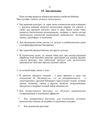 15. Заключение
Чина луговая является ценным растением семейства бобовых.
Чина луговая Lathirus pratensis используется :
 Как кормовая культура, т.к. зерно чины в размолотом виде в рационе
с другими кормами является питательным кормом для свиней, а
также для крупного рогатого скота и овец. Белки семян чины
являются биологически полноценными, содержат в своем составе
значительные количества незаменимых аминокислот: гистидина,
лизина, триптофана и метионина
 Для обогащения почвы азотом, т.к. вступет в симбиотические связи
с азотфиксирующиими бактериями.
 Как хороший предшественник для других культур.
 В технических целях, т.к. казеин чины дает при соответствующей
обработке клей высокого качества, пригодный для склейки высших
сортов фанеры; как побочный продукт при казеиновом
производстве чина дает крахмал высших сортов.
 на зеленый корм, выпас и сено.
 В качестве продукта питания , в виде примеси к муке для
повышения её «белковости», т.к. по развариваемости в
сопоставлении с другими бобовыми» чина уступает только лучшим
сортам чечевицы, гороха и фасоли, является легкоусвояемым
продуктом и содержит полный набор аминокислот.
 Как лекарственное растение, т.к. обладает выраженным
отхаркивающим и седативным эффектом.
 Как декоративное растение, для озеленения, создания
многолетних газонов, на клумбах и в групповых посадках.
 Как медоносное растение
22
 