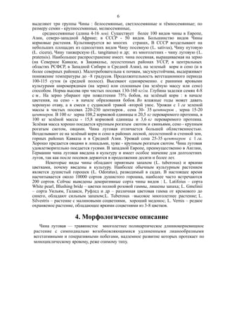 выделяют три группы Чины : белосемянные, светлосемянные и тёмносемянные; по
размеру семян - крупносемянные, мелкосемянные,
среднесемянные (длина 4-16 мм). Существует более 100 видов чины в Европе,
Азии, северо-западной Африке; в СССР - 50 видов. Большинство видов Чины
кормовые растения. Культивируется во многих странах, В СССР возделывают на
небольших площадях из однолетних видов Чину посевную (L. sativus), Чину нутовую
(L. cicera), Чину танжерскую (L. tangitanus) и др; из многолетних - чину луговую (L.
pratensis). Наибольшее распространение имеет. чина посевная, выращиваемая на зерно
(на Северное Кавказе, в Закавказье, лесостепных районах УССР, в центральных
областях РСФСР, в Западной Сибири и Средней Азии), на зеленый корм и сено (и в
более северных районах). Малотребовательна к почвам, засухоустойчива, выдерживает
понижение температуры до –8 градусов. Продолжительность вегетационного периода
100-115 суток (в средней полосе). Высевают одновременно. с ранними яровыми
культурами широкорядным (на зерно) или сплошным (на зелёную массу или сено)
способом. Норма высева при чистых посевах 130-160 кг/га. Глубина заделки семян 4-8
с м , На зерно убирают при пожелтении 75% бобов, на зелёный корм : в начале
цветения, на сено - в начале образования бобов. Во влажные годы может давать
хорошую отаву, а в смеси с суданской травой -второй укос. Урожаи с 1 га зеленой
массы в чистых посевах 220-230 центнеров , сена 30- 35 центнеров , зерна 15-20
центнеров. В 100 кг зерна 108,2 кормовой единицы и 20,5 кг переваримого протеина, в
100 кг зелёной массы - 15,8 кормовой единицы и 3,6 кг переваримого протеина.
Зелёная масса хорошо поедается крупным рогатым скотом и cвиньями, сено - крупным
рогатым скотом, овцами. Чина луговая отличается большей облиственностью.
Возделывают ее на зелёный корм и сено в районах лесной, лесостепной и степной зон,
горных районах Кавказа и в Средней Азии. Урожай сена 25-35 центнеров с 1 га.
Хорошо предается овцами и лошадьми, хуже - крупным рогатым скотом. Чина луговая
удовлетворительно поедается гусями. В западной Европе, преимущественно в Англии,
Германии чина луговая введена в культуру и имеет особое значение для долголетних
лугов, так как после посевов держится в продолжении десяти и более лет.
Некоторые виды чины обладают приятным запахом (L. tuberosus) и яркими
цветками, почему введены в культуру. Наиболее обычным культурным растением
является душистый горошек (L. Odoratus), разводимый в садах. В настоящее время
насчитывается около 10000 сортов душистого горошка, наиболее часто встречаются
200 сортов. Сейчас выведены декоративные сорта чины видов : L. Latifoius – сорта
White pearl, Blushing bride – цветки полной розовой гаммы, лишены запаха; L. Gmelinii
– сорта Уильям, Галакси, Руфлед и др – различная цветовая гамма от кремового до
синего, обладают сильным запахом;L. Tuberosus –высокое многолетнее растение; L.
Silvestris – растение с малиновыми соцветиями, хороший медонос; L. Vernis – редкое
охраняемое растение, обладающее яркими соцветиями из 3-8 цветков.
4. Морфологическое описание
Чина луговая — травянистое многолетнее поликарпическое длнниокорневищное
растение с симподиалыю возобновляющимися удлиненными лианообразными
вегетативными и генеративными побегами, надземное развитие которых протекает по
моноциклическому яровому, реже озимому типу.
6
 