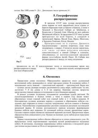 тостью. Вес 1000 семян 9—26 г . Диплоидное число хромосом 14 .
5. Географическое
распространение
В пределах СССР чина луговая распространена
очень широко по всей европейской части страны от
берегов Баренцева моря до Крыма и Кавказа, а также в
Западной и Восточной Сибири до Забайкалья, в
Казахстане и Средней Азия .Обычна во всех районах
Московской области. За пределами СССР чина луговая
произрастает по всей Европе, в северной и
тропической Африке, Малой Азии, Иране, Монголии,
в Западных Гималаях, Китае, Японии.
П р о и з р а с т а н и е е е в с т р а н а х Др е в н е го
Средиземноморья - явление вторичное; сюда чина
мигрировала с севера.). Считается вполне вероятным,
ч т о ч и н а л у г ов а я п о л у ч и л а в и д о в у ю
самостоятельность в южной Сибири в плиоцене,
обособившись от восточно-азиатской предковой
формы типа Lathyrus davidii Нance. Из Сибири вид
распространился к западу, а в эпоху оледенения
Рис.7
продвигался на юг. В межледниковые эпохи и послеледниковое время вид
распространился к северу. Тип ареала — бореально-лесной, палеарктический
или пале-обореальный
6. Онтогенез
Прорастание семян подземное. Образующийся проросток имеет удлиненный
вегетативный побег, развившийся из .почки зародыша семени. В основании побега 3
чешуевидных листа, нижний — однолопастной, верхний — трехлопастной. Выше них
— зеленые листья, размеры которых увеличиваются снизу вверх, наибольшие "из них
достигают 7—8 мм длины и 3—4 мм ширины. Корневая система проростка
представлена главным корнем и отходящими от него боковыми корнями.
В разных условиях по-разному складывается дальнейшая судьба растения. Па
сильнозадернованных и бедных почвах у чины в первом году жизни может
образоваться только главный побег или главный побег и 1—2 побега кущения. В
благоприятных условиях возможен переход к кущению и образованию побегов сле-
дующих двух порядков из почек в пазухах чешуевидных листьев главного и боковых
побегов. Однопобеговое стсржнекорневое растение сменяется растением кустовндной
жизненной формы. В течение вегетационного периода возможно формирование
боковых побегов двух порядков. От оснований побегов отходят придаточные корни.
Система главного корня сменяется смешанной корневой системой. Придаточные корни
образуются близ семядольного узла. Осенью на поемных лугах наблюдется отрастание
корневищ.
Первые плагиотропные побеги обычно образуются из почек семядольного узла. Из
верхушечных почек перезимовавших корневищ весной развертываются надземные
побеги. В питомнике, подземные корневищные побеги появились в воздушной среде
уже осенью на расстоянии до 20 см от материнского куста.
9
 