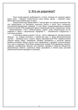 V. Кто их родители?
Число видов вирусов приближается к тысяче. Сходные по строению вирусы
одних групп – паразиты ограниченного круга хозяев, другие – поражают виды,
филогенетически далёкие друг от друга.
Ограниченный круг хозяев имеют, Т-чётные фаги со сложным строением. Все
они паразитируют на бактериях кишечной группы и могут быть признанны
узкоспециализированными формами. К ещё более специализированным формам
относятся мелкие РНК-содержащие вирусы поражающие более широкий круг хозяев
– пресмыкающихся, птиц и млекопитающих, однако, узкая специализация так же
очевидна в связи с вертикальной передачей и способностью соединяться с
клеточным геномом.
У некоторых вирусов одной и той же группы наблюдается противоположное
явление – их хозяева относятся к отдалённым друг от друга филогенетическим
группам. Примером могут служить вирусы двуспиральной РНК, морфологически
сходные между собой, поражающи человека (реовирусы) и растения (вирусы
раневых опухолей). Вирусы группы оспы обнаружены у человека, млекопитающих,
птиц, рыб и насекомых. Ещё более выразителен пример РНК-содержащих вирусов,
имеющих пулеобразное строение: они поражают человека и животных (бешенство,
везикулярный стоматит), насекомых (вирус дрозофилы) и многие виды растений
(мозаичные болезни картофеля и злаковых).
16
 