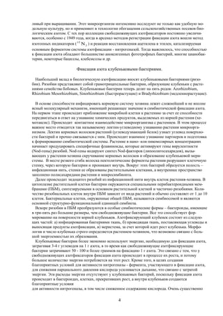 ливый при выращивании. Этот микроорганизм интенсивно исследуют не только как удобную мо-
дельную культуру, но и применяют в технологии обогащения сельскохозяйственных посевов био-
логическим азотом. С тех пор коллекции свободноживущих азотфиксаторов постоянно увеличи-
ваются, особенно с 1949 года, когда в арсенал методов регистрации фиксации азота вошли метод
изотопных индикаторов ( 2
15
N ) и реакция восстановления ацетилена в этилен, катализируемая
основным ферментом системы азотфиксации - нитрогеназой. Тогда выяснилось, что способностью
к фиксации азота обладают большинство аноксигенных фототрофных бактерий, многие цианобак-
терии, некоторые бациллы, клебсиеллы и др.
Фиксация азота клубеньковыми бактериями.
Наибольший вклад в биологическую азотфиксацию вносят клубеньковыми бактериями (ризо-
бии). Ризобии представляют собой грамотрицательные бактерии, образующие клубеньки с расте-
ниями семейства бобовых. Клубеньковые бактерии теперь делят на пять родов: Azorhizobium,
Rhizobium Mesorhizobium, Sinorhizobium (быстрорастущие) и Bradyrhizobium (медленнорастущие).
В основе способности инфицировать корневую систему хозяина лежит сложнейший и не вполне
ясный молекулярный механизм, имеющий решающее значение в симбиотической фиксации азота.
На первом этапе происходит приближение микробной клетки к растению за счет ее способности
передвигаться в ответ на узнавание химических продуктов, выделяемых из корней растения (хе-
мотаксис). Происходит контактное взаимодействие микроорганизма с растением. В этом процессе
важное место отводится так называемому лектин-углеводному узнаванию растения микроорга-
низмом. Лектин корневых волосков растений (углеводузнающий белок) узнает углевод поверхно-
сти бактерий и прочно связывается с ним. Происходит взаимное узнавание партнеров и подготовка
к формированию симбиотической системы. Растение в нано- или пикомолярных концентрациях
начинает продуцировать специфичные флавиноиды, которые активируют гены вирулентности
(Nod-гены) ризобий. Nod-гены кодируют синтез Nod-факторов (липоолигосахаридов), вызы-
вающих у растения-хозяина скручивание корневых волосков и образование клубеньковой мери-
стемы. В месте резкого сгиба волоска пектолитические ферменты растения разрушают клеточную
стенку, через которую бактерии и проникают внутрь. Вокруг этих бактерий образуется полость –
инфекционная нить, стенки ее образованы растительными клетками, а внутреннее пространство
заполнено полисахаридами растения и микросимбионта.
Далее происходит эндоцитоз ризобий из инфекционной нити внутрь клеток растения-хозяина. В
цитоплазме растительной клетки бактерии окружаются специальными перибактероидными мем-
бранами (ПБМ), синтезируемыми в основном растительной клеткой и частично ризобиями. Коли-
чество ризобиальных клеток внутри ПБМ зависит от вида растений и обычно составляет от 1 до 10
клеток. Бактериальные клетки, окруженные общей ПБМ, называются симбиосомой и являются
основной структурно-функциональной единицей симбиоза.
Вскоре ризобии в ПБМ преобразуются в особые симбиотические формы – бактероиды, имеющие
в три-пять раз большие размеры, чем свободноживущие бактерии. Все это способствует фор-
мированию на поверхности корней клубеньков. Азотфиксирующий клубенек состоит из следую-
щих частей: а) инфицированная бактериями ткань, б) проводящая ткань, поставляющая углеводы и
выносящая продукты азотфиксации, в) меристема, за счет которой идет рост клубенька. Морфо-
логия и число клубенька строго определяется растением-хозяином, что возможно связано с боль-
шой энергоемкостью их образования.
Клубеньковые бактерии более экономно используют энергию, необходимую для фиксации азота,
затрагивая 3-4 г углеводов на 1 г азота, в то время как свободноживущие азотфиксирующие
бактерии затрачивают 50 - 100 и более граммов на фиксацию 1 г азота. Это связано с тем, что у
свободноживущих азотфиксаторов фиксация азота происходит в процессе их роста, и потому
большое количество энергии потребляется на этот рост. Кроме того, в целях создания
благоприятных условий для активности нитрогеназы - фермента, участвующего в фиксации азота,
для снижения парциального давления кислорода усиливается дыхание, что связано с затратой
энергии. Эти расходы энергии отсутствуют у клубеньковых бактерий, поскольку фиксация азота
происходит в бактероидах, клетках, прекративших рост, а внутри клубеньков создаются
благоприятные условия
для активности нитрогеназы, в том числе сниженное содержание кислорода. Очень существенно
4
 