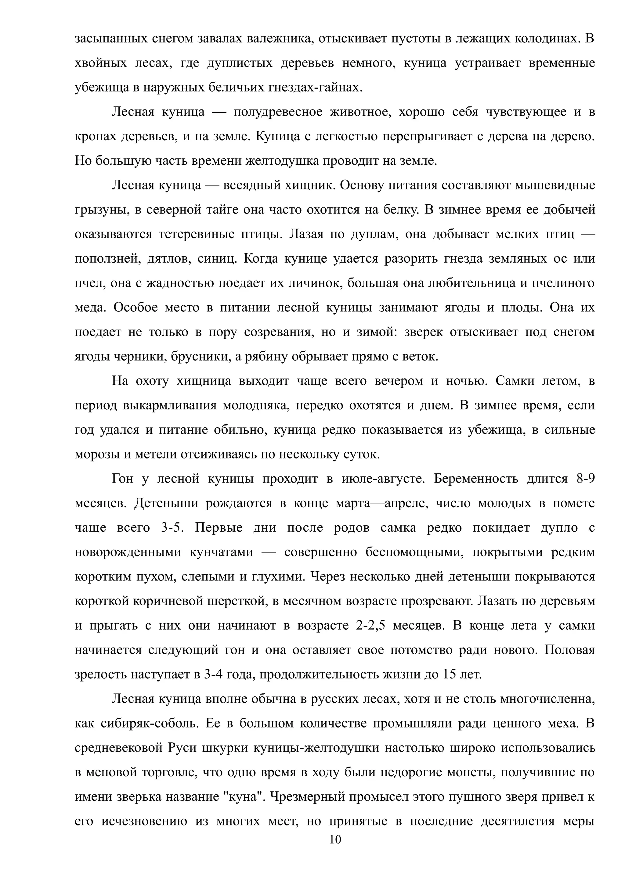 засыпанных снегом завалах валежника, отыскивает пустоты в лежащих колодинах. В
хвойных лесах, где дуплистых деревьев немного, куница устраивает временные
убежища в наружных беличьих гнездах-гайнах.
Лесная куница — полудревесное животное, хорошо себя чувствующее и в
кронах деревьев, и на земле. Куница с легкостью перепрыгивает с дерева на дерево.
Но большую часть времени желтодушка проводит на земле.
Лесная куница — всеядный хищник. Основу питания составляют мышевидные
грызуны, в северной тайге она часто охотится на белку. В зимнее время ее добычей
оказываются тетеревиные птицы. Лазая по дуплам, она добывает мелких птиц —
поползней, дятлов, синиц. Когда кунице удается разорить гнезда земляных ос или
пчел, она с жадностью поедает их личинок, большая она любительница и пчелиного
меда. Особое место в питании лесной куницы занимают ягоды и плоды. Она их
поедает не только в пору созревания, но и зимой: зверек отыскивает под снегом
ягоды черники, брусники, а рябину обрывает прямо с веток.
На охоту хищница выходит чаще всего вечером и ночью. Самки летом, в
период выкармливания молодняка, нередко охотятся и днем. В зимнее время, если
год удался и питание обильно, куница редко показывается из убежища, в сильные
морозы и метели отсиживаясь по нескольку суток.
Гон у лесной куницы проходит в июле-августе. Беременность длится 8-9
месяцев. Детеныши рождаются в конце марта—апреле, число молодых в помете
чаще всего 3-5. Первые дни после родов самка редко покидает дупло с
новорожденными кунчатами — совершенно беспомощными, покрытыми редким
коротким пухом, слепыми и глухими. Через несколько дней детеныши покрываются
короткой коричневой шерсткой, в месячном возрасте прозревают. Лазать по деревьям
и прыгать с них они начинают в возрасте 2-2,5 месяцев. В конце лета у самки
начинается следующий гон и она оставляет свое потомство ради нового. Половая
зрелость наступает в 3-4 года, продолжительность жизни до 15 лет.
Лесная куница вполне обычна в русских лесах, хотя и не столь многочисленна,
как сибиряк-соболь. Ее в большом количестве промышляли ради ценного меха. В
средневековой Руси шкурки куницы-желтодушки настолько широко использовались
в меновой торговле, что одно время в ходу были недорогие монеты, получившие по
имени зверька название "куна". Чрезмерный промысел этого пушного зверя привел к
его исчезновению из многих мест, но принятые в последние десятилетия меры
10
 