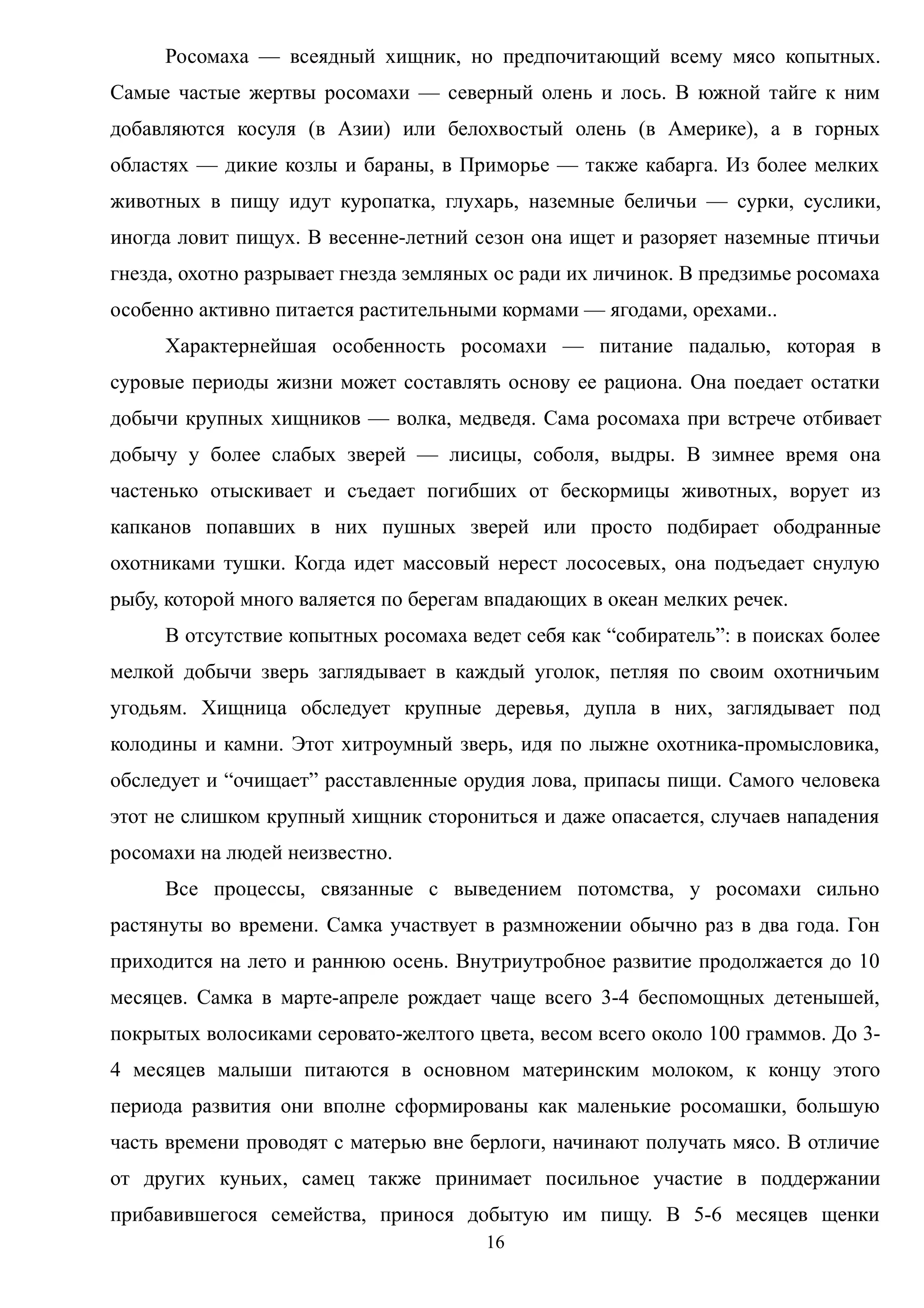 Росомаха — всеядный хищник, но предпочитающий всему мясо копытных.
Самые частые жертвы росомахи — северный олень и лось. В южной тайге к ним
добавляются косуля (в Азии) или белохвостый олень (в Америке), а в горных
областях — дикие козлы и бараны, в Приморье — также кабарга. Из более мелких
животных в пищу идут куропатка, глухарь, наземные беличьи — сурки, суслики,
иногда ловит пищух. В весенне-летний сезон она ищет и разоряет наземные птичьи
гнезда, охотно разрывает гнезда земляных ос ради их личинок. В предзимье росомаха
особенно активно питается растительными кормами — ягодами, орехами..
Характернейшая особенность росомахи — питание падалью, которая в
суровые периоды жизни может составлять основу ее рациона. Она поедает остатки
добычи крупных хищников — волка, медведя. Сама росомаха при встрече отбивает
добычу у более слабых зверей — лисицы, соболя, выдры. В зимнее время она
частенько отыскивает и съедает погибших от бескормицы животных, ворует из
капканов попавших в них пушных зверей или просто подбирает ободранные
охотниками тушки. Когда идет массовый нерест лососевых, она подъедает снулую
рыбу, которой много валяется по берегам впадающих в океан мелких речек.
В отсутствие копытных росомаха ведет себя как “собиратель”: в поисках более
мелкой добычи зверь заглядывает в каждый уголок, петляя по своим охотничьим
угодьям. Хищница обследует крупные деревья, дупла в них, заглядывает под
колодины и камни. Этот хитроумный зверь, идя по лыжне охотника-промысловика,
обследует и “очищает” расставленные орудия лова, припасы пищи. Самого человека
этот не слишком крупный хищник сторониться и даже опасается, случаев нападения
росомахи на людей неизвестно.
Все процессы, связанные с выведением потомства, у росомахи сильно
растянуты во времени. Самка участвует в размножении обычно раз в два года. Гон
приходится на лето и раннюю осень. Внутриутробное развитие продолжается до 10
месяцев. Самка в марте-апреле рождает чаще всего 3-4 беспомощных детенышей,
покрытых волосиками серовато-желтого цвета, весом всего около 100 граммов. До 3-
4 месяцев малыши питаются в основном материнским молоком, к концу этого
периода развития они вполне сформированы как маленькие росомашки, большую
часть времени проводят с матерью вне берлоги, начинают получать мясо. В отличие
от других куньих, самец также принимает посильное участие в поддержании
прибавившегося семейства, принося добытую им пищу. В 5-6 месяцев щенки
16
 