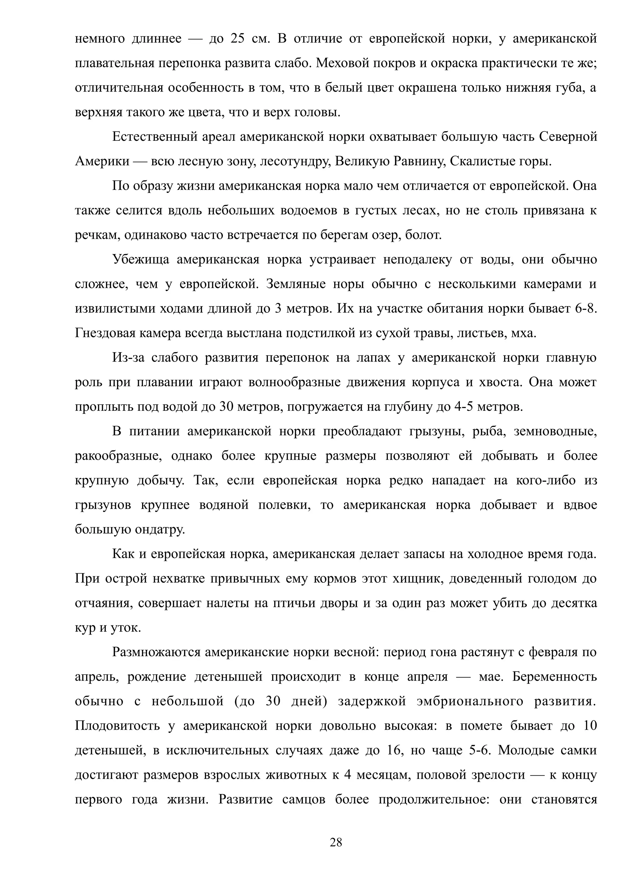 немного длиннее — до 25 см. В отличие от европейской норки, у американской
плавательная перепонка развита слабо. Меховой покров и окраска практически те же;
отличительная особенность в том, что в белый цвет окрашена только нижняя губа, а
верхняя такого же цвета, что и верх головы.
Естественный ареал американской норки охватывает большую часть Северной
Америки — всю лесную зону, лесотундру, Великую Равнину, Скалистые горы.
По образу жизни американская норка мало чем отличается от европейской. Она
также селится вдоль небольших водоемов в густых лесах, но не столь привязана к
речкам, одинаково часто встречается по берегам озер, болот.
Убежища американская норка устраивает неподалеку от воды, они обычно
сложнее, чем у европейской. Земляные норы обычно с несколькими камерами и
извилистыми ходами длиной до 3 метров. Их на участке обитания норки бывает 6-8.
Гнездовая камера всегда выстлана подстилкой из сухой травы, листьев, мха.
Из-за слабого развития перепонок на лапах у американской норки главную
роль при плавании играют волнообразные движения корпуса и хвоста. Она может
проплыть под водой до 30 метров, погружается на глубину до 4-5 метров.
В питании американской норки преобладают грызуны, рыба, земноводные,
ракообразные, однако более крупные размеры позволяют ей добывать и более
крупную добычу. Так, если европейская норка редко нападает на кого-либо из
грызунов крупнее водяной полевки, то американская норка добывает и вдвое
большую ондатру.
Как и европейская норка, американская делает запасы на холодное время года.
При острой нехватке привычных ему кормов этот хищник, доведенный голодом до
отчаяния, совершает налеты на птичьи дворы и за один раз может убить до десятка
кур и уток.
Размножаются американские норки весной: период гона растянут с февраля по
апрель, рождение детенышей происходит в конце апреля — мае. Беременность
обычно с небольшой (до 30 дней) задержкой эмбрионального развития.
Плодовитость у американской норки довольно высокая: в помете бывает до 10
детенышей, в исключительных случаях даже до 16, но чаще 5-6. Молодые самки
достигают размеров взрослых животных к 4 месяцам, половой зрелости — к концу
первого года жизни. Развитие самцов более продолжительное: они становятся
28
 