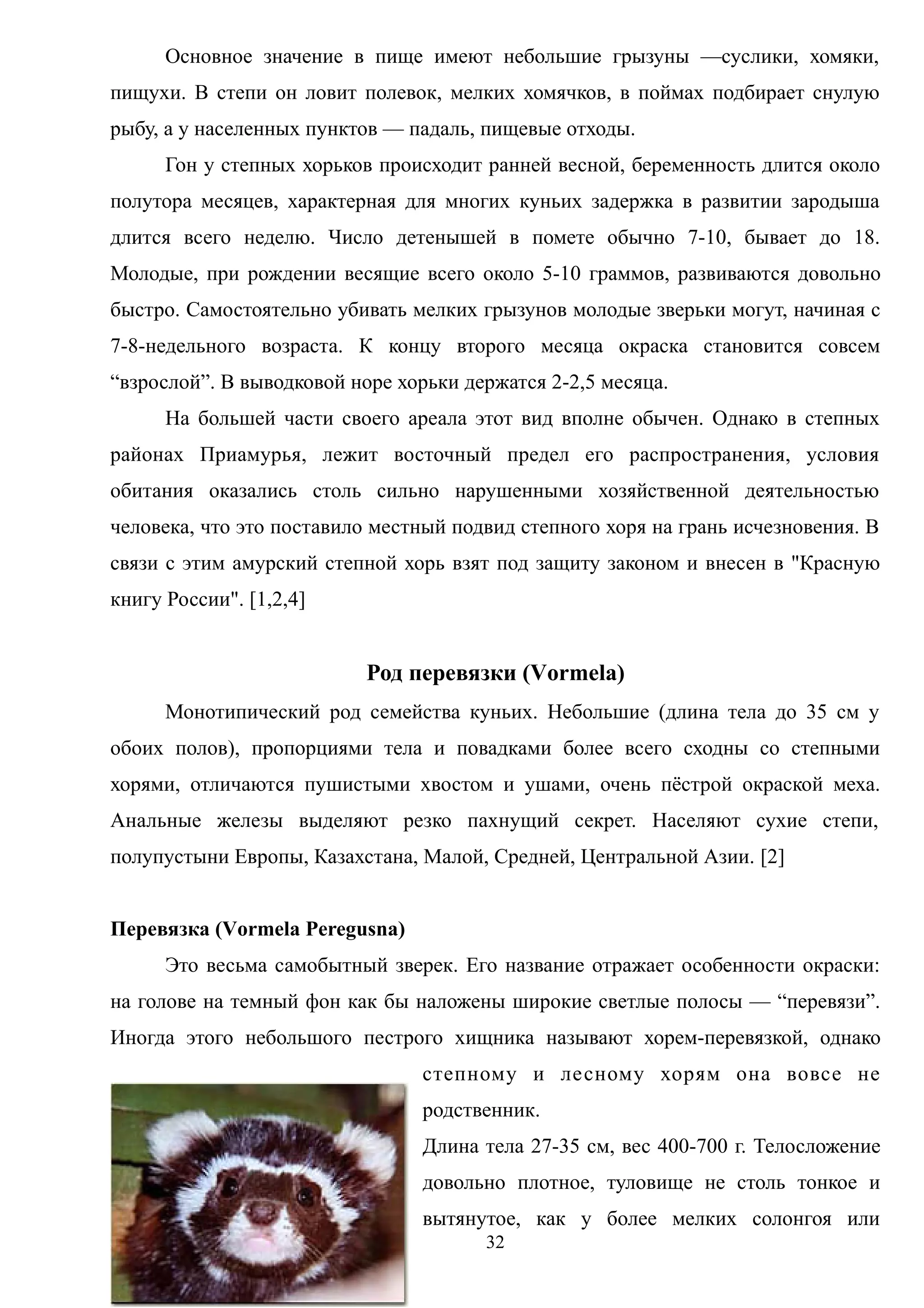 Основное значение в пище имеют небольшие грызуны —суслики, хомяки,
пищухи. В степи он ловит полевок, мелких хомячков, в поймах подбирает снулую
рыбу, а у населенных пунктов — падаль, пищевые отходы.
Гон у степных хорьков происходит ранней весной, беременность длится около
полутора месяцев, характерная для многих куньих задержка в развитии зародыша
длится всего неделю. Число детенышей в помете обычно 7-10, бывает до 18.
Молодые, при рождении весящие всего около 5-10 граммов, развиваются довольно
быстро. Самостоятельно убивать мелких грызунов молодые зверьки могут, начиная с
7-8-недельного возраста. К концу второго месяца окраска становится совсем
“взрослой”. В выводковой норе хорьки держатся 2-2,5 месяца.
На большей части своего ареала этот вид вполне обычен. Однако в степных
районах Приамурья, лежит восточный предел его распространения, условия
обитания оказались столь сильно нарушенными хозяйственной деятельностью
человека, что это поставило местный подвид степного хоря на грань исчезновения. В
связи с этим амурский степной хорь взят под защиту законом и внесен в "Красную
книгу России". [1,2,4]
Род перевязки (Vormela)
Монотипический род семейства куньих. Небольшие (длина тела до 35 см у
обоих полов), пропорциями тела и повадками более всего сходны со степными
хорями, отличаются пушистыми хвостом и ушами, очень пёстрой окраской меха.
Анальные железы выделяют резко пахнущий секрет. Населяют сухие степи,
полупустыни Европы, Казахстана, Малой, Средней, Центральной Азии. [2]
Перевязка (Vormela Peregusna)
Это весьма самобытный зверек. Его название отражает особенности окраски:
на голове на темный фон как бы наложены широкие светлые полосы — “перевязи”.
Иногда этого небольшого пестрого хищника называют хорем-перевязкой, однако
степному и лесному хорям она вовсе не
родственник.
Длина тела 27-35 см, вес 400-700 г. Телосложение
довольно плотное, туловище не столь тонкое и
вытянутое, как у более мелких солонгоя или
32
 