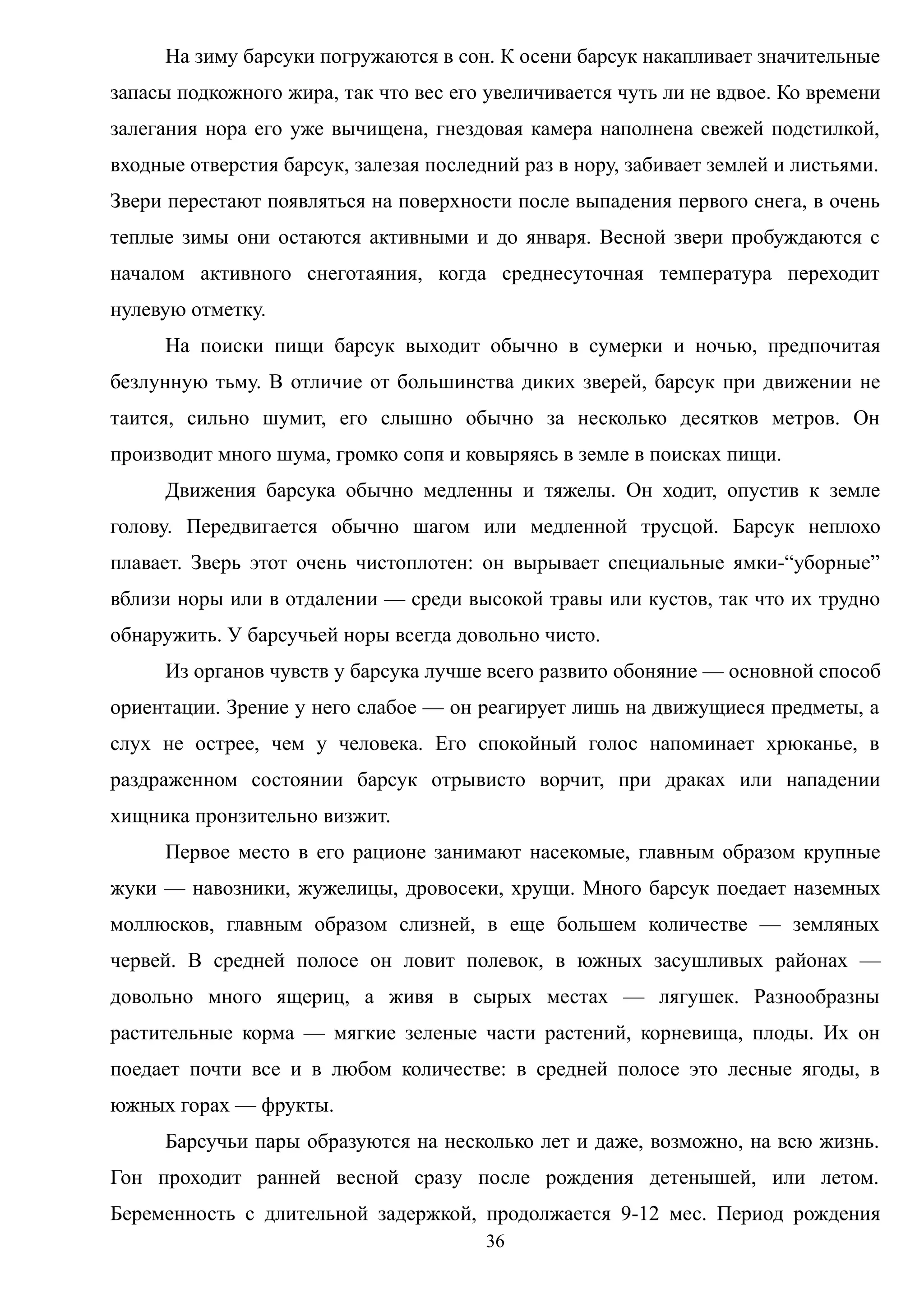 На зиму барсуки погружаются в сон. К осени барсук накапливает значительные
запасы подкожного жира, так что вес его увеличивается чуть ли не вдвое. Ко времени
залегания нора его уже вычищена, гнездовая камера наполнена свежей подстилкой,
входные отверстия барсук, залезая последний раз в нору, забивает землей и листьями.
Звери перестают появляться на поверхности после выпадения первого снега, в очень
теплые зимы они остаются активными и до января. Весной звери пробуждаются с
началом активного снеготаяния, когда среднесуточная температура переходит
нулевую отметку.
На поиски пищи барсук выходит обычно в сумерки и ночью, предпочитая
безлунную тьму. В отличие от большинства диких зверей, барсук при движении не
таится, сильно шумит, его слышно обычно за несколько десятков метров. Он
производит много шума, громко сопя и ковыряясь в земле в поисках пищи.
Движения барсука обычно медленны и тяжелы. Он ходит, опустив к земле
голову. Передвигается обычно шагом или медленной трусцой. Барсук неплохо
плавает. Зверь этот очень чистоплотен: он вырывает специальные ямки-“уборные”
вблизи норы или в отдалении — среди высокой травы или кустов, так что их трудно
обнаружить. У барсучьей норы всегда довольно чисто.
Из органов чувств у барсука лучше всего развито обоняние — основной способ
ориентации. Зрение у него слабое — он реагирует лишь на движущиеся предметы, а
слух не острее, чем у человека. Его спокойный голос напоминает хрюканье, в
раздраженном состоянии барсук отрывисто ворчит, при драках или нападении
хищника пронзительно визжит.
Первое место в его рационе занимают насекомые, главным образом крупные
жуки — навозники, жужелицы, дровосеки, хрущи. Много барсук поедает наземных
моллюсков, главным образом слизней, в еще большем количестве — земляных
червей. В средней полосе он ловит полевок, в южных засушливых районах —
довольно много ящериц, а живя в сырых местах — лягушек. Разнообразны
растительные корма — мягкие зеленые части растений, корневища, плоды. Их он
поедает почти все и в любом количестве: в средней полосе это лесные ягоды, в
южных горах — фрукты.
Барсучьи пары образуются на несколько лет и даже, возможно, на всю жизнь.
Гон проходит ранней весной сразу после рождения детенышей, или летом.
Беременность с длительной задержкой, продолжается 9-12 мес. Период рождения
36
 