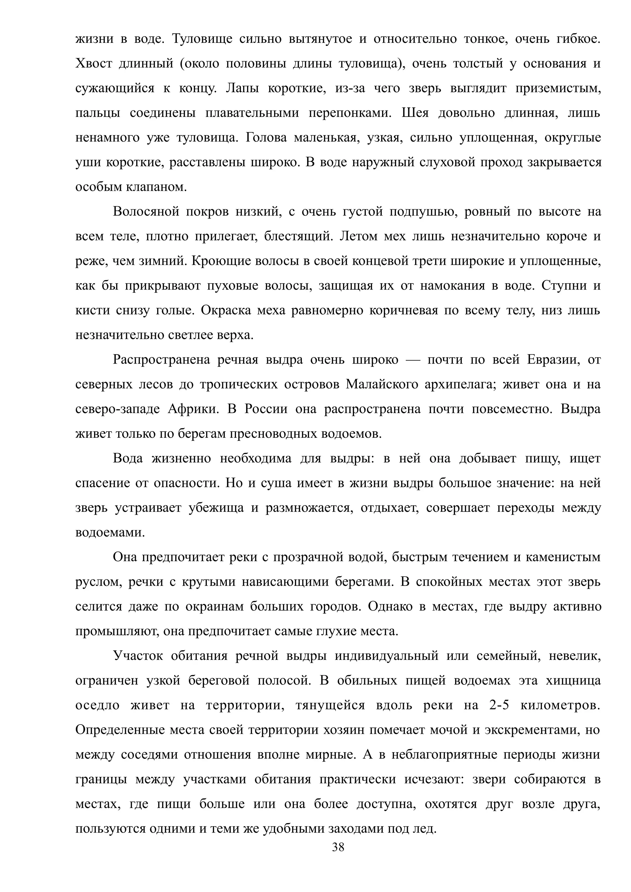 жизни в воде. Туловище сильно вытянутое и относительно тонкое, очень гибкое.
Хвост длинный (около половины длины туловища), очень толстый у основания и
сужающийся к концу. Лапы короткие, из-за чего зверь выглядит приземистым,
пальцы соединены плавательными перепонками. Шея довольно длинная, лишь
ненамного уже туловища. Голова маленькая, узкая, сильно уплощенная, округлые
уши короткие, расставлены широко. В воде наружный слуховой проход закрывается
особым клапаном.
Волосяной покров низкий, с очень густой подпушью, ровный по высоте на
всем теле, плотно прилегает, блестящий. Летом мех лишь незначительно короче и
реже, чем зимний. Кроющие волосы в своей концевой трети широкие и уплощенные,
как бы прикрывают пуховые волосы, защищая их от намокания в воде. Ступни и
кисти снизу голые. Окраска меха равномерно коричневая по всему телу, низ лишь
незначительно светлее верха.
Распространена речная выдра очень широко — почти по всей Евразии, от
северных лесов до тропических островов Малайского архипелага; живет она и на
северо-западе Африки. В России она распространена почти повсеместно. Выдра
живет только по берегам пресноводных водоемов.
Вода жизненно необходима для выдры: в ней она добывает пищу, ищет
спасение от опасности. Но и суша имеет в жизни выдры большое значение: на ней
зверь устраивает убежища и размножается, отдыхает, совершает переходы между
водоемами.
Она предпочитает реки с прозрачной водой, быстрым течением и каменистым
руслом, речки с крутыми нависающими берегами. В спокойных местах этот зверь
селится даже по окраинам больших городов. Однако в местах, где выдру активно
промышляют, она предпочитает самые глухие места.
Участок обитания речной выдры индивидуальный или семейный, невелик,
ограничен узкой береговой полосой. В обильных пищей водоемах эта хищница
оседло живет на территории, тянущейся вдоль реки на 2-5 километров.
Определенные места своей территории хозяин помечает мочой и экскрементами, но
между соседями отношения вполне мирные. А в неблагоприятные периоды жизни
границы между участками обитания практически исчезают: звери собираются в
местах, где пищи больше или она более доступна, охотятся друг возле друга,
пользуются одними и теми же удобными заходами под лед.
38
 
