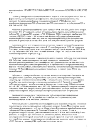 аминов-спермина H2N(CH2)3NH(CH2)4NH(CH2)3NH2, спермидина H2N(CH2)3NH(CH2)4NH2
и др.
Поскольку коэффициенты седиментации зависят не только от молекулярной массы, но и от
формы частиц, седиментационные коэффициенты при диссоциации неаддитивны: так,
например, бактериальные рибосомы с молекулярной массой ~3*106 Дальтон имеет
коэффициент седиментации 70S, обозначается как 70S и диссоциирует на субъединицы 50S и
30S: 70S 50S + 30S
Рибосомные субчастицы содержат по одной молекуле рРНК большой длины, масса которой
составляет ~1/2 - 2/3 массы рибосомной субчастицы, таким образом, в случае бактериальных
рибосом 70S субчастица 50S содержит рРНК 23S (длина ~3000 нуклеотидов) и субчастица 30S
содержит рРНК 16S (длина ~1500 нуклеотидов); большая рибосомная субчастица кроме
«длинной» рРНК содержит также одну или две «коротких» рРНК (5S рРНК бактериальных
рибосомных субчастиц 50S или 5S и 5.8S рРНК больших рибосомных субчастиц эукариот).
Цитоплазма клеток всех эукариотических организмов содержит несколько более крупные
80S рибосомы. Их молекулярная масса около 4·106
, линейные размеры 25-30 нм, содержание
белка в них значительно больше, чем в прокариотической рибосоме (соотношение РНК: белок
ок. 1:1). Рибосомная РНК 80S также связана в основном с Mg и Са и с небольшим кол-вом
полиаминов (спермин, спермидин и др.).
Хлоропласты и митохондрии эукариотических клеток содержат рибосомы, отличные от типа
80S. Рибосомы хлоропластов высших растений принадлежат к истинному 70S типу.
Митохондриальные рибосомы более разнообразны; их строение находится в зависимости от
таксономической принадлежности организма (т.е. от принадлежности к определенному виду,
роду или семейству). Напр., митохондриальные рибосомы млекопитающих существенно мельче
типичных 70S Р.; коэффициент седиментации этих рибосом составляет около 55S (т. наз.
минирибосомы).
Рибосомы из самых разнообразных организмов имеют сходное строение. Они состоят из
двух разделяемых субчастиц, или рибосомных субъединиц. При определенных условиях
(например, при понижении концентрации Mg2 +
в среде) рибосома обратимо диссоциирует на
две субчастицы с соотношением их молекулярных масс около 2:1. Прокарйотическая 70S
рибосома диссоциирует на субъединицы с коэффициентом седиментации 50S (молекулярная
масса 1,5·106
) и 30S (молекулярная масса 0,85·106
). Эукариотическая рибосома разделяется на
субчастицы 60S и 40S. Две рибосомные субчастицы объединены в полную рибосому строго
определенным образом, предполагающим специфические контакты их поверхностей.
Как прокариотические, так и эукариотические рибосомы содержат две различные
высокомолекулярные рРНК (по одной на каждую субчастицу) и одну относительно
низкомолекулярную рРНК в большой субчастице.
Рибосомные белки большинства животных представлены в основном умеренно основными
полипептидами, хотя имеется несколько нейтральных и кислых белков. Молекулярные массы
рибосомных белков варьирует от 6 тыс. до 60 тыс. г/моль. В прокариотической рибосоме малая
субчастица (30S) содержит около 20, большая (50S) - около 30 различных белков; в
эукариотической рибосоме 40S субчастица включает около 30 белков, а 60S-около 40 (обычно
рибосомы не содержат двух или нескольких одинаковых белков). Рибосомные белки
характеризуются глобулярной компактной конформацией с развитой вторичной и третичной
структурой; они занимают преимущественно периферическое положение в ядре, состоящем из
рРНК. Плотность упаковки рРНК в рибосомах достаточно высока.
3
 