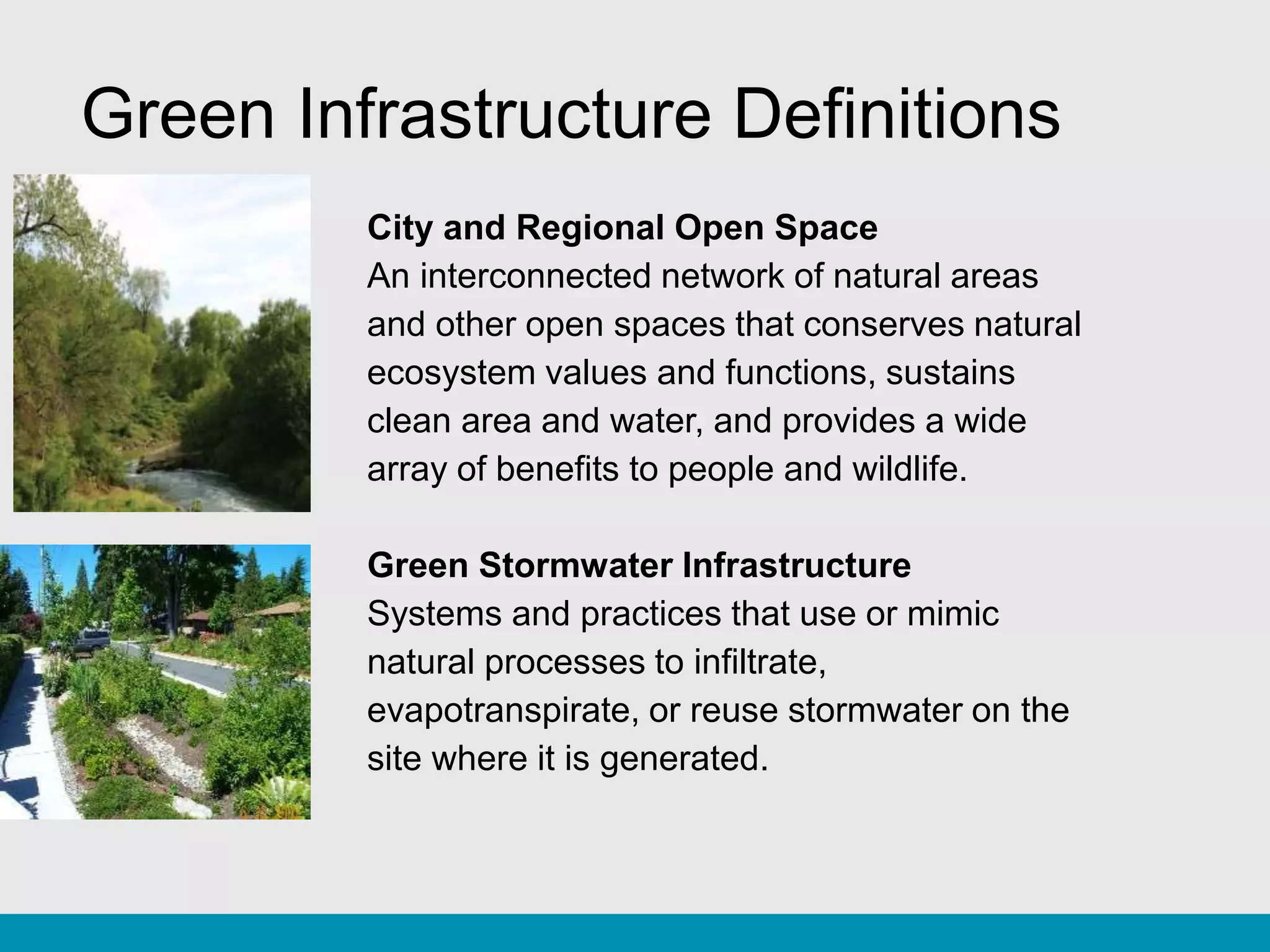 The Role of Urban Forestry in Parks, Green Infrastructure, and Equity ...