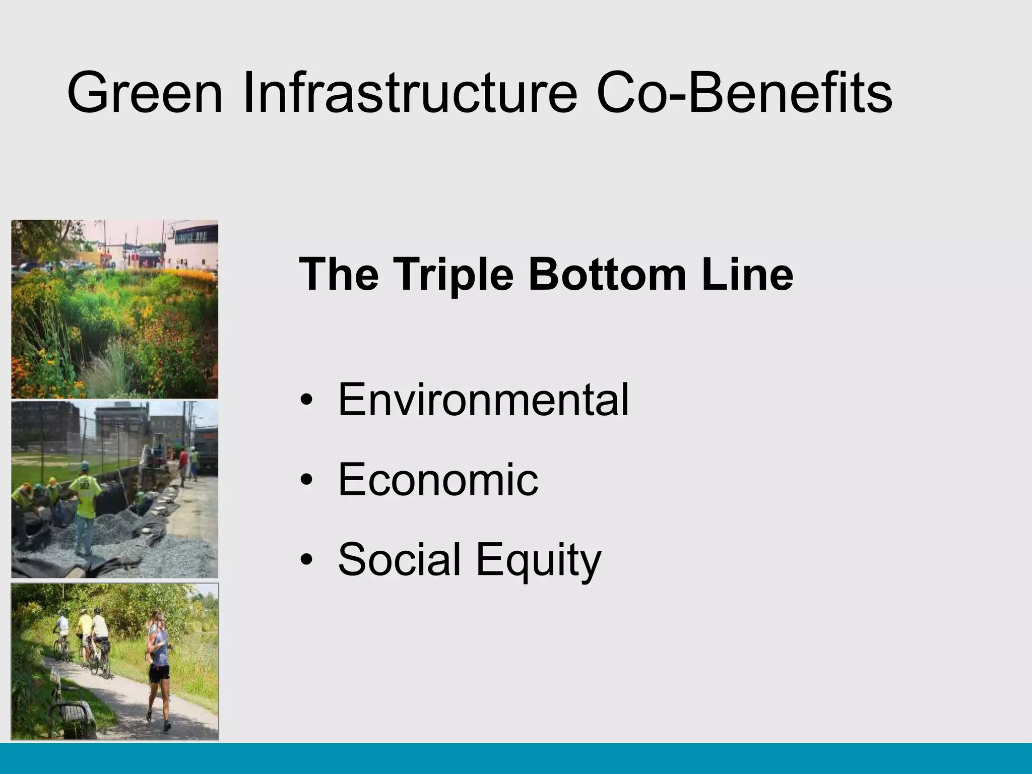 The Role of Urban Forestry in Parks, Green Infrastructure, and Equity ...
