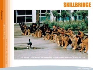 www.skillbridge.in
Leadership
Communication
PersonalityDevelopment
SELF CONFIDENCE:
It is about having a positive perception of
ourselves and our abilities.
A LACK OF SELF-CONFIDENCE:
it is characterized by self- doubt,
submissiveness, isolation, sensitivity to
criticism, distrust, depression, and feelings of
inferiority and being unloved.
 