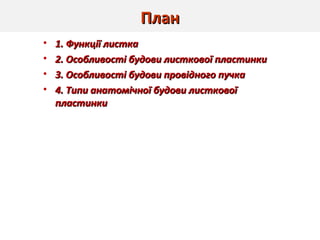 ПланПлан
• 1. Функції листка1. Функції листка
• 2.2. Особливості будови листкової пластинкиОсобливості будови листкової пластинки
• 3. Особливості будови провідного пучка3. Особливості будови провідного пучка
• 4. Типи анатомічної будови листкової4. Типи анатомічної будови листкової
пластинкипластинки
 