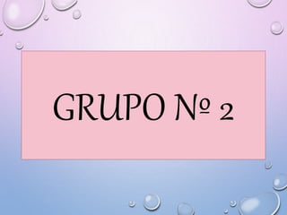 GRUPO Nº 2
 