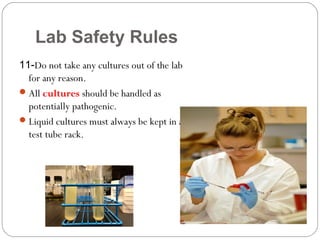 Lab Safety Rules
11-Do not take any cultures out of the lab
for any reason.
All cultures should be handled as
potentially pathogenic.
Liquid cultures must always be kept in a
test tube rack.
 