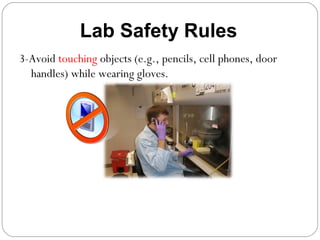 3-Avoid touching objects (e.g., pencils, cell phones, door
handles) while wearing gloves.
Lab Safety Rules
 
