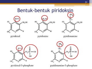 51
Bentuk-bentuk piridoksin
 