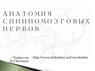  Профессор
В.Н.Волошин
 http://www.slideshare.net/vnvoloshin
 