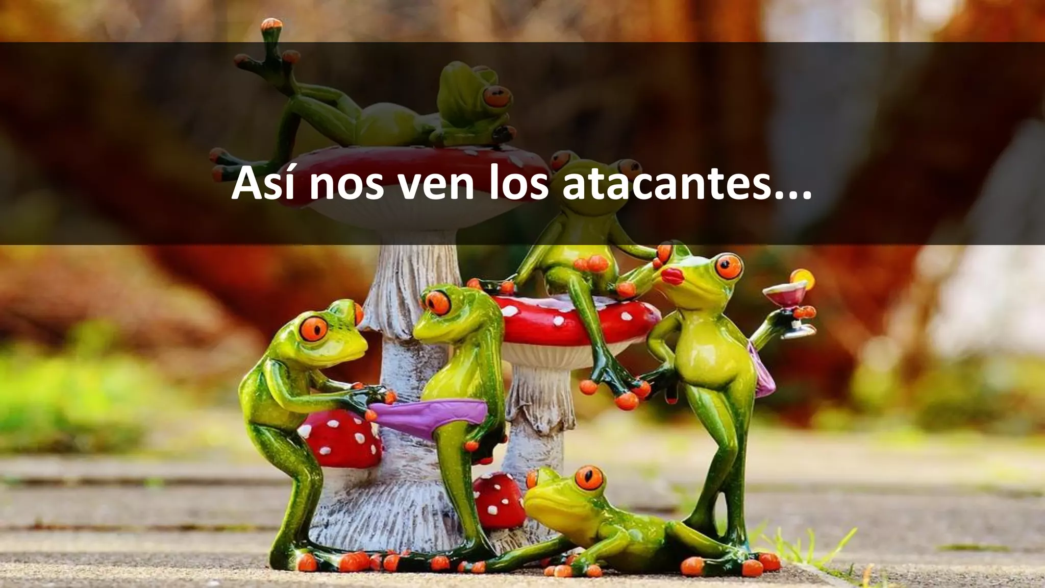 Así nos ven los atacantes...
 