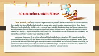 ความหมายโครงงานคอมพิวเตอร์
โครงงานคอมพิวเตอร์ คือ กิจกรรมการเรียนรู้ของนักเรียนอีกรูปแบบหนึ่ง ที่ทาให้นักเรียนมีอิสระทางความคิดทางการศึกษา
ปัญหาและสิ่งต่างๆ ที่ตนเองในใจ โดยนักเรียนต้องมีการวางแผนการศึกษาและนักเรียนจะต้องวางแผนการดาเนินงาน ศึกษา พัฒนา
โปรแกรม หรืออุปกรณ์ที่เกี่ยวข้อง โดยใช้ความรู้กระบวนการทางวิศวกรรมซอฟต์แวร์ เครื่องคอมพิวเตอร์และวัสดุอุปกรณ์ตลอดจนทักษะ
พื้นฐานในการพัฒนาโครงงาน เรื่องที่นักเรียนสนใจและคิดจะทาโครงงาน ซึ่งอาจมีผู้ศึกษามาก่อน หรือเป็นเรื่องที่นักพัฒนาโปรแกรมได้
เคยค้นคว้าและพัฒนาแล้ว นักเรียนสามารถทาโครงงานเรื่องดังกล่าวได้ แต่ต้องคิดดัดแปลงแนวทางในการศึกษา การวิเคราะห์ข้อมูล การ
พัฒนาโปรแกรม หรือศึกษาเพิ่มเติมจากผลงานเดิมที่มีผู้รายงานไว้
จุดมุ่งหมายสาคัญของการทาโครงงานเป็นการเปิดโอกาสให้นักเรียนได้รับประสบการณ์ตรงในการใช้ระบบคอมพิวเตอร์แก้ปัญหา
ประดิษฐ์คิดค้นหรือค้นคว้าหาความรู้ต่างๆ ใช้คอมพิวเตอร์ในการพัฒนาสื่อการเรียนรู้เพื่อการศึกษา ประดิษฐ์ฮาร์ดแวร์ ซอฟต์แวร์ หรือ
อุปกรณ์ใช้สอยต่างๆ พัฒนาโปรแกรมประยุกต์ต่างๆตลอดจนการพัฒนาเกมคอมพิวเตอร์ เพื่อฝึกให้นักเรียนเป็นบุคคลที่ใฝ่ เรียนใฝ่ รู้ การ
พัฒนาความคิดใหม่ๆ ความมีคุณธรรมจริยธรรม เอื้อเฟื้ อเผื่อแผ่ ให้กับเพื่อนมนุษย์ และอยู่ในสังคมอย่างมีความสุข และทาให้เกิดความ
สามัคคีในการทางานร่วมกันเป็นกลุ่ม รวมถึงการฝึกความกล้าแสดงออกในการน าเสนอผลงานของตน
 