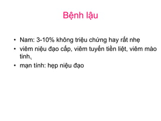 Bệnh lậu
• Nam: 3-10% không triệu chứng hay rất nhẹ
• viêm niệu đạo cấp, viêm tuyến tiền liệt, viêm mào
tinh. ̣
• mạn tính: hẹp niệu đạo
 